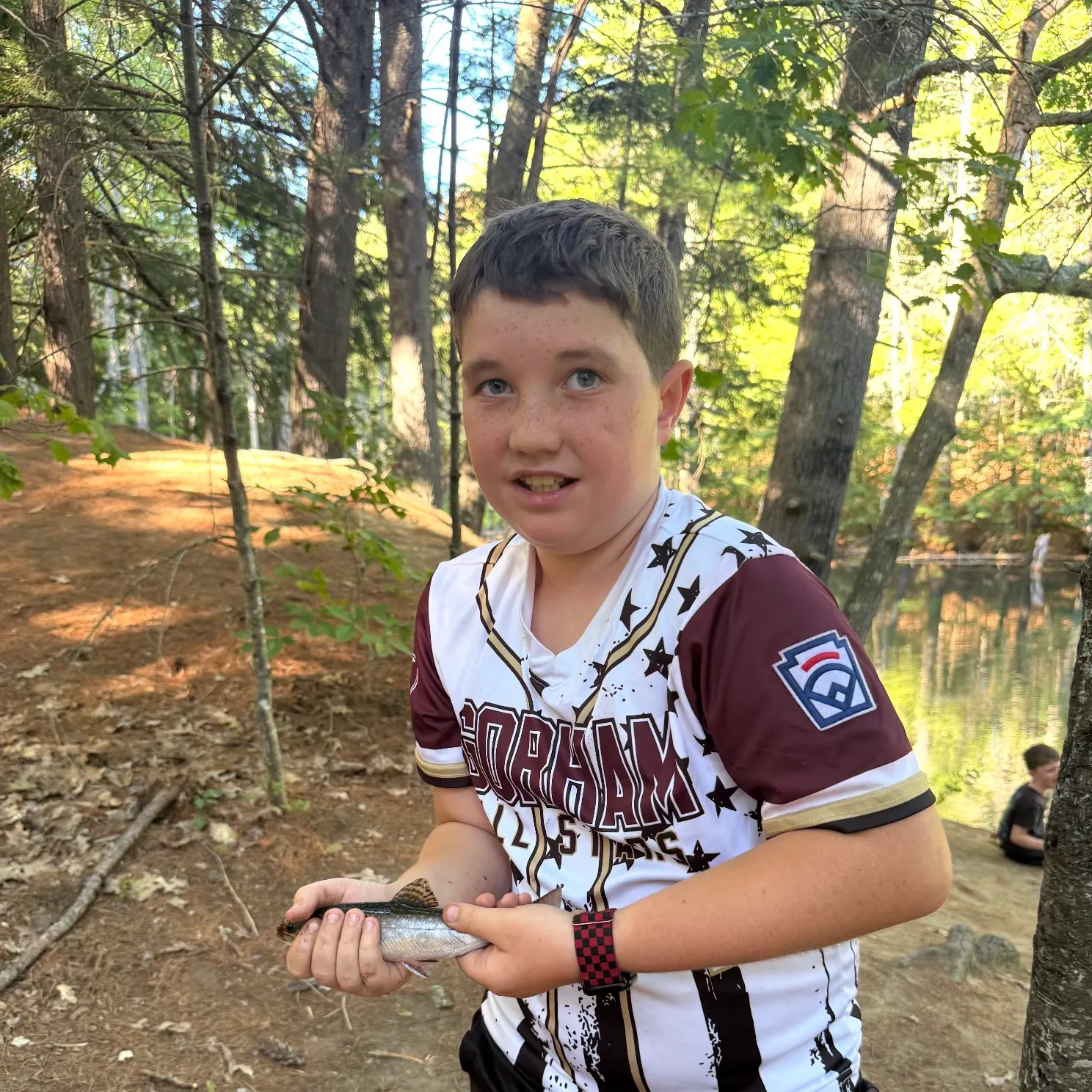 Brook trout caught on Fishbrain