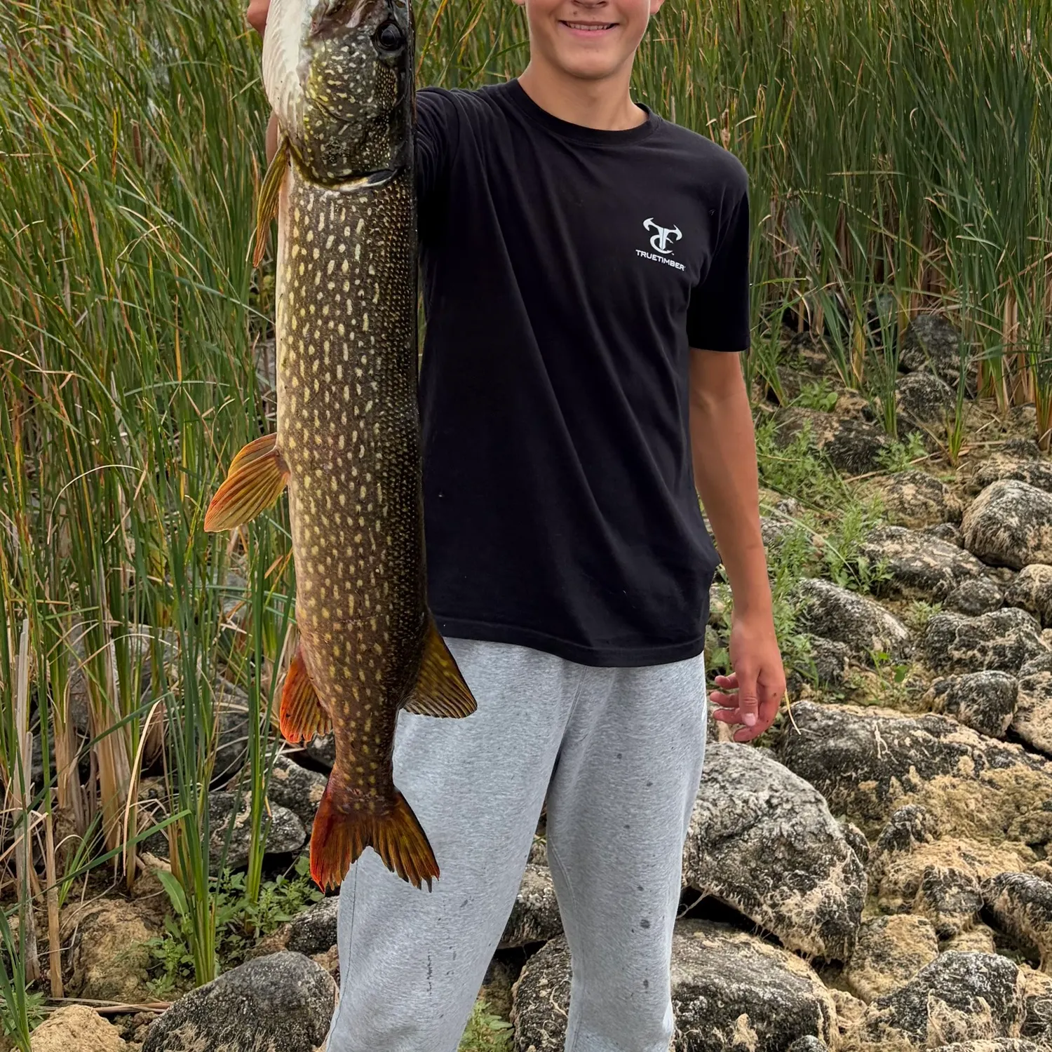 Northern pike caught on Fishbrain
