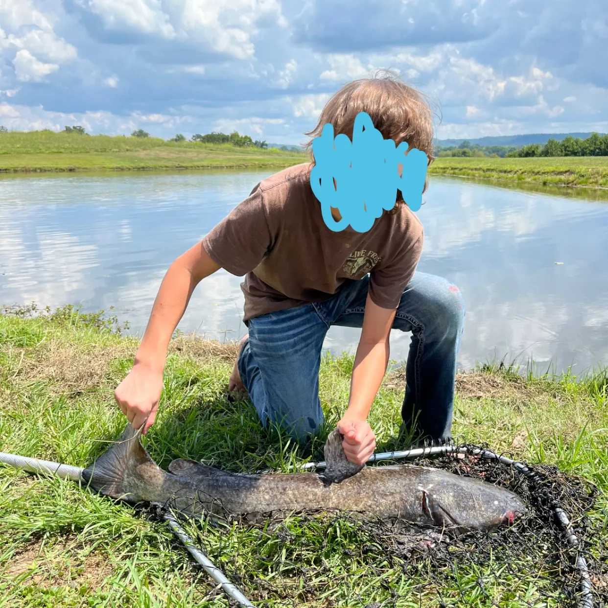 Flathead catfish caught on Fishbrain