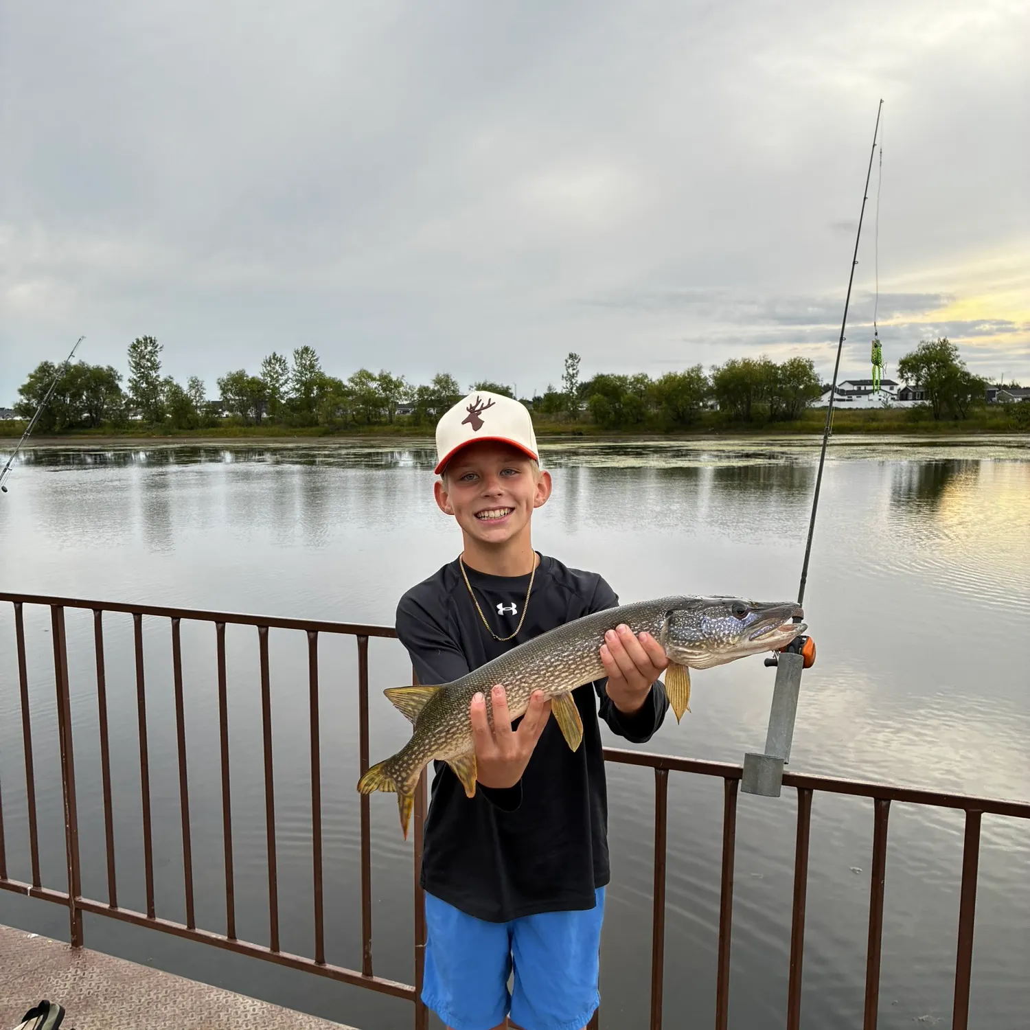 Northern pike caught on Fishbrain