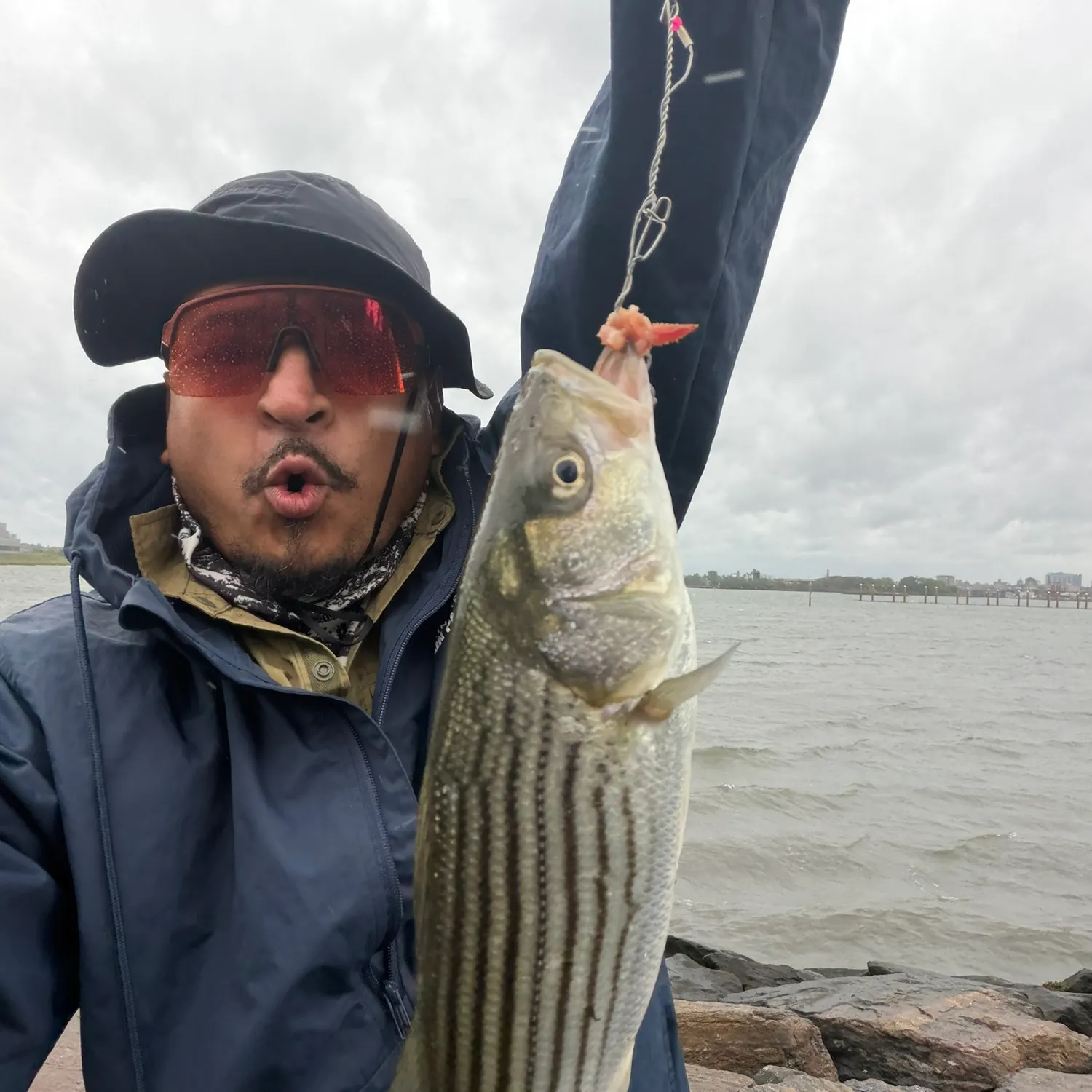 Striped bass caught on Fishbrain