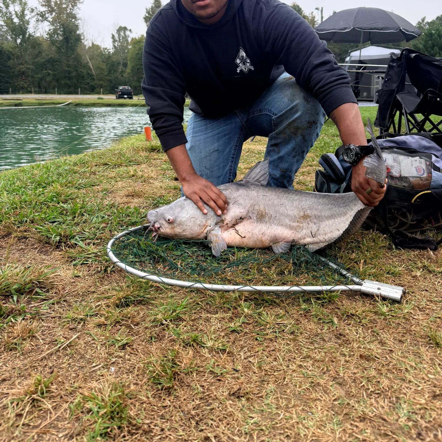 Blue catfish caught on Fishbrain
