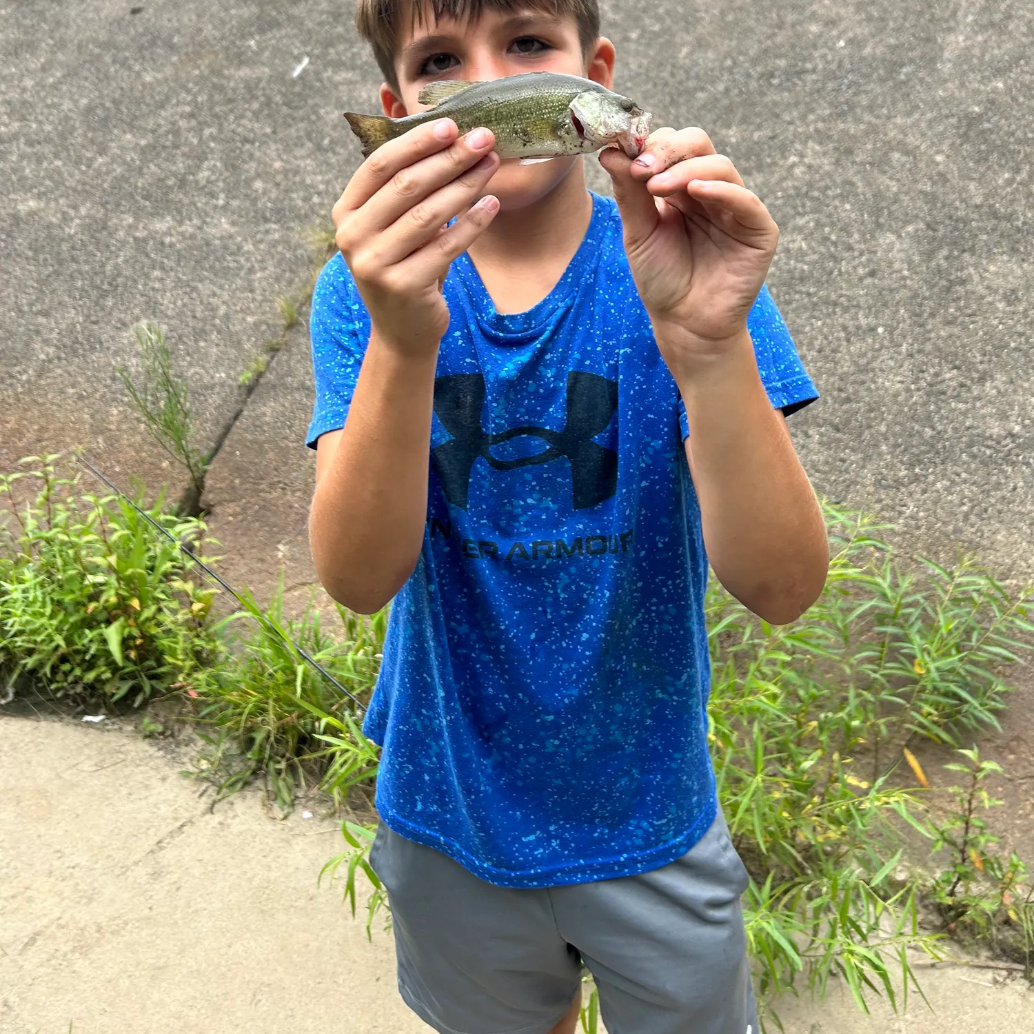 Fish caught on Fishbrain