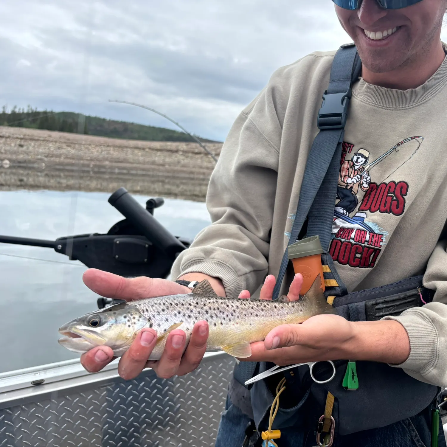 Brown trout caught on Fishbrain