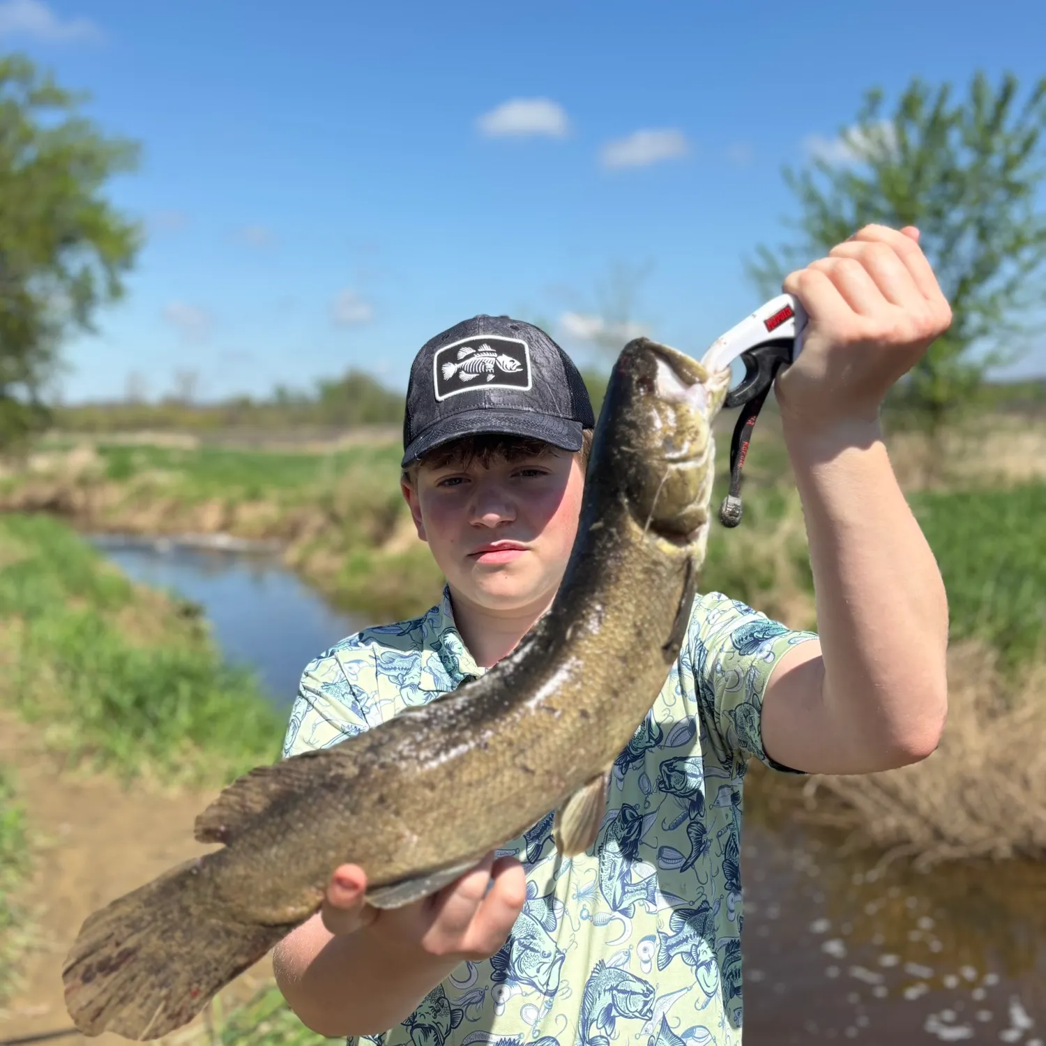 The most recent Eyetail bowfin catches on Fishbrain