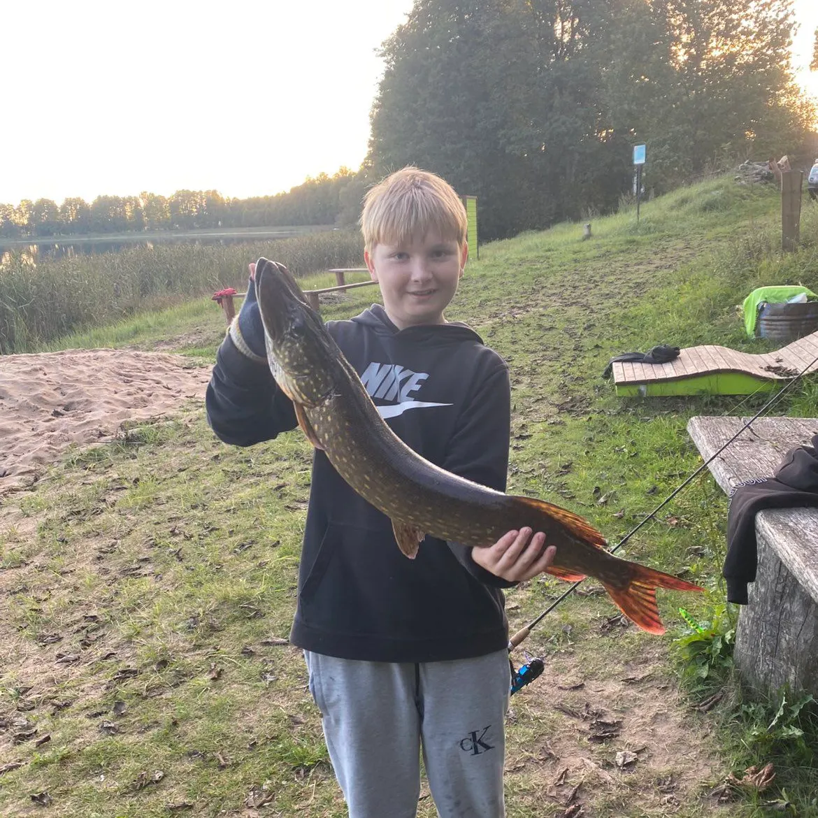 Northern pike caught on Fishbrain