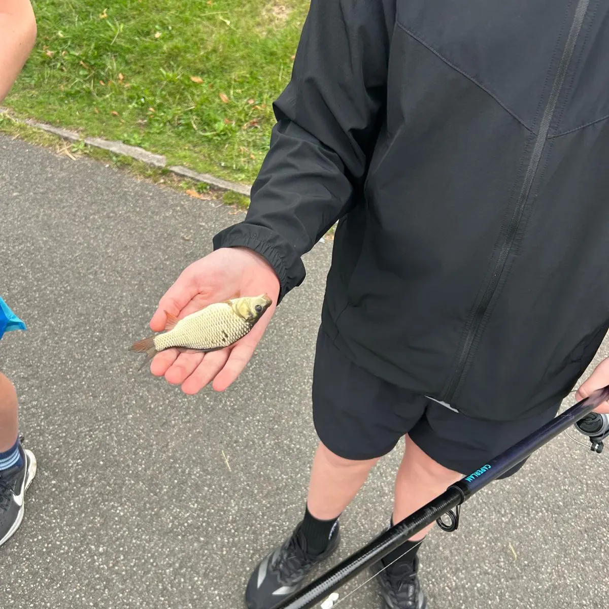 Common carp caught on Fishbrain