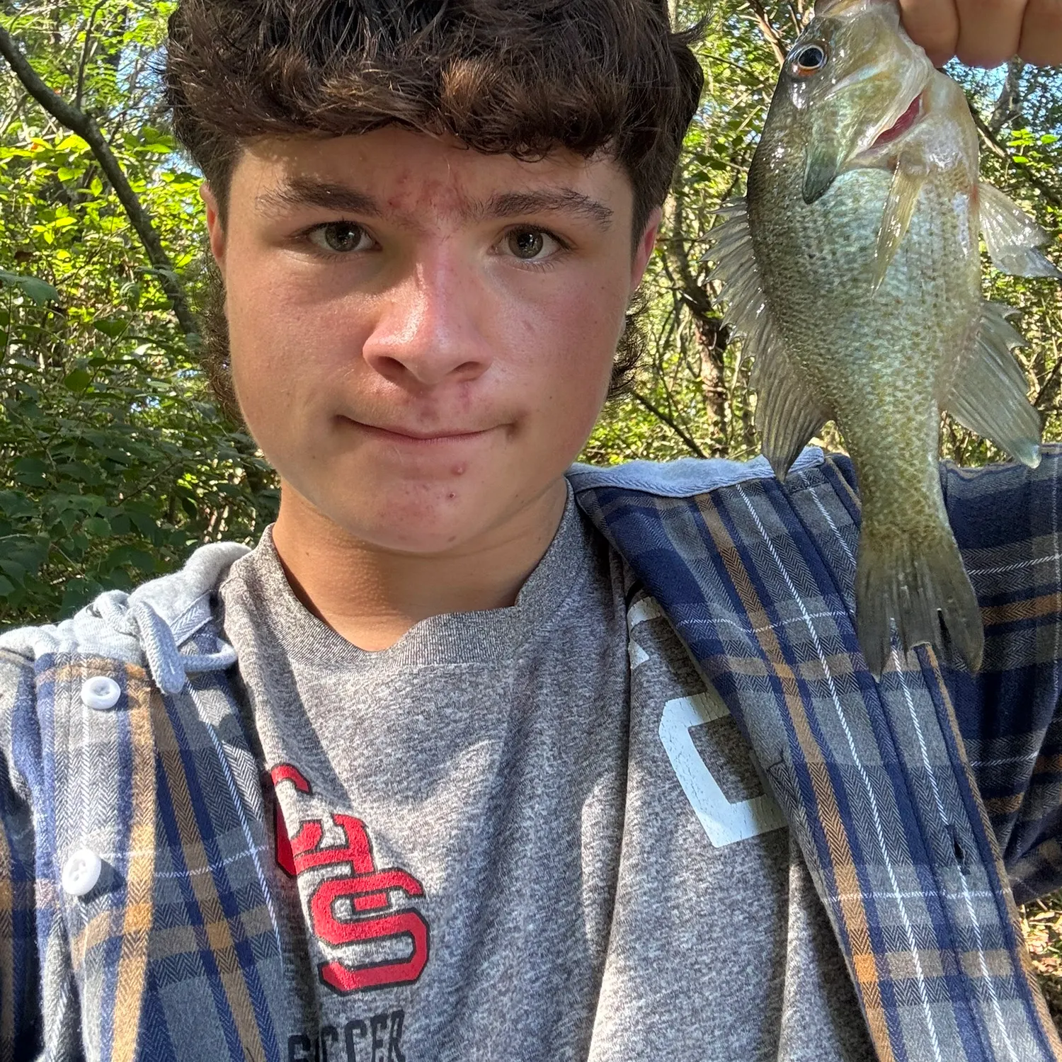 Green sunfish caught on Fishbrain