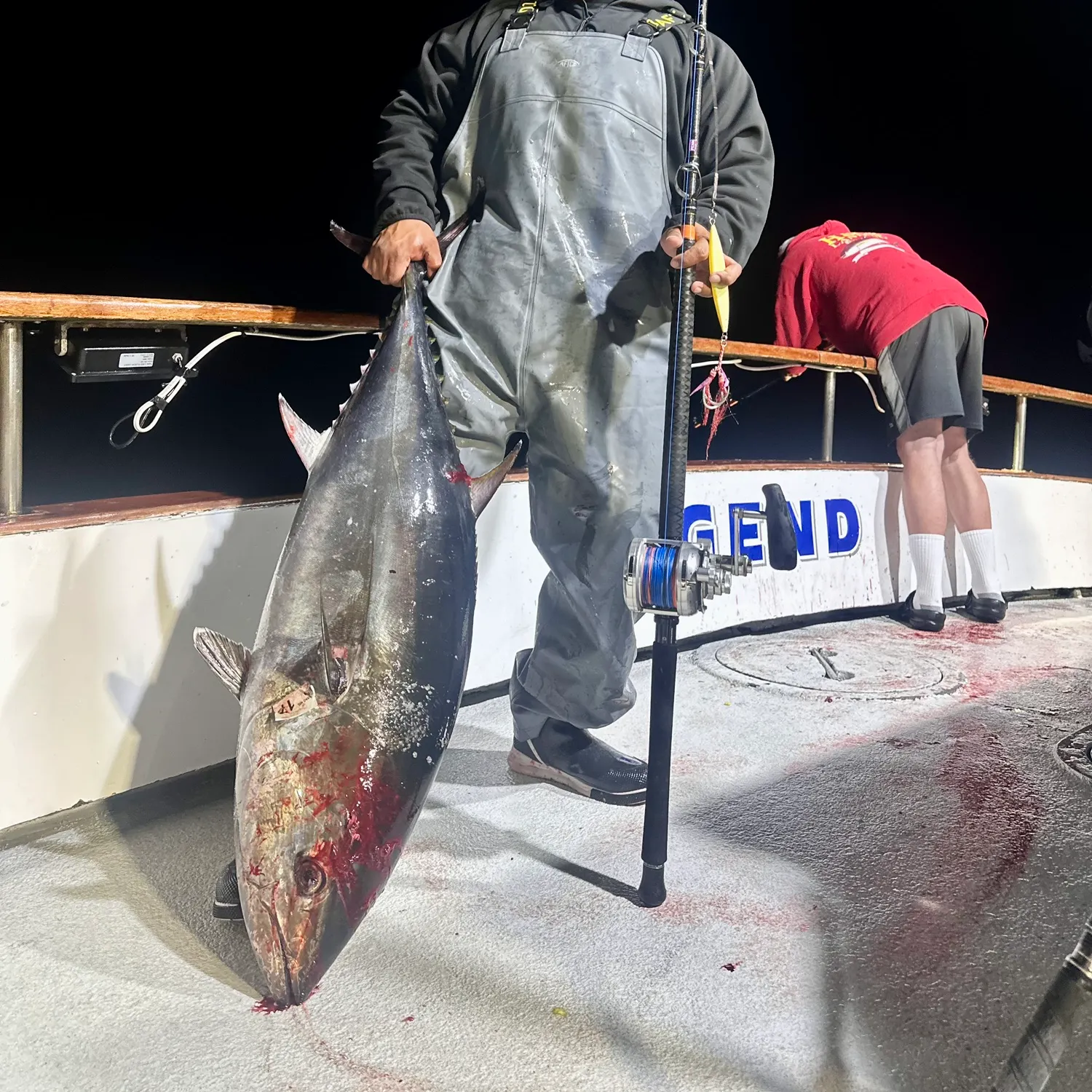 The most recent Pacific bluefin tuna catches on Fishbrain