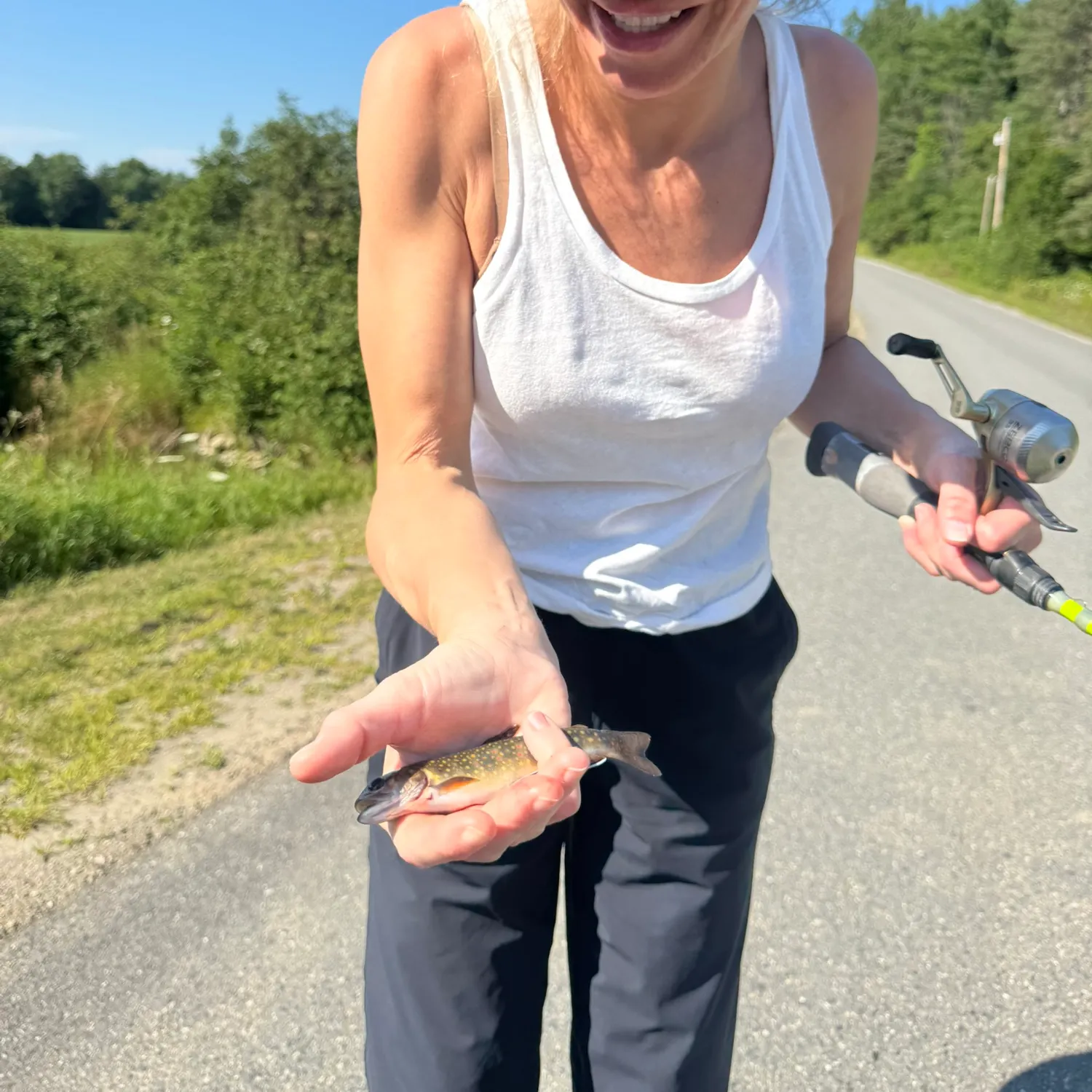 The most recent Brook trout catches on Fishbrain