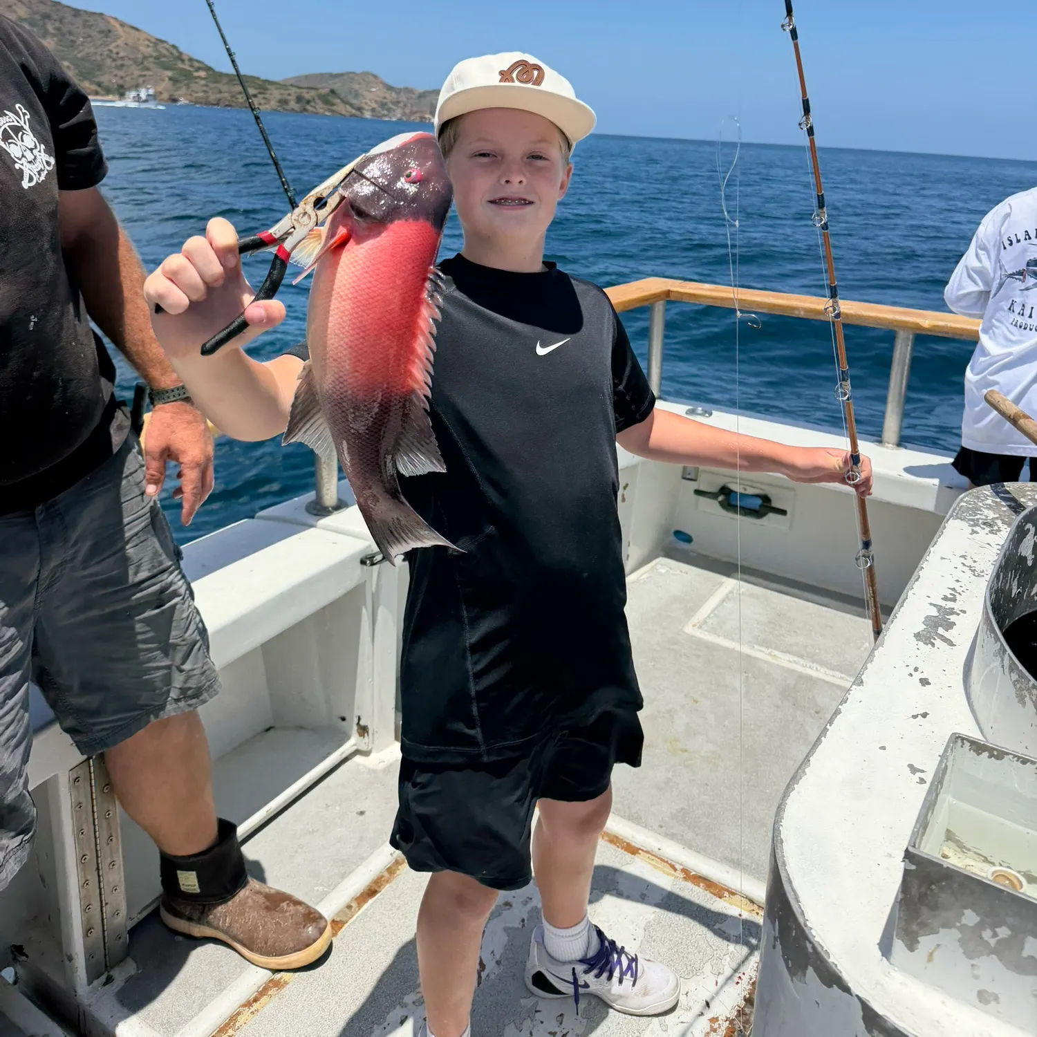 The most recent California sheephead catches on Fishbrain