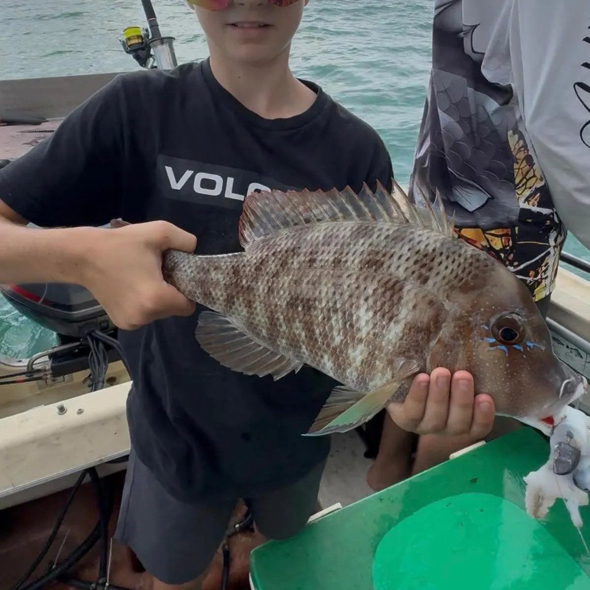 The most recent Grass emperor catches on Fishbrain