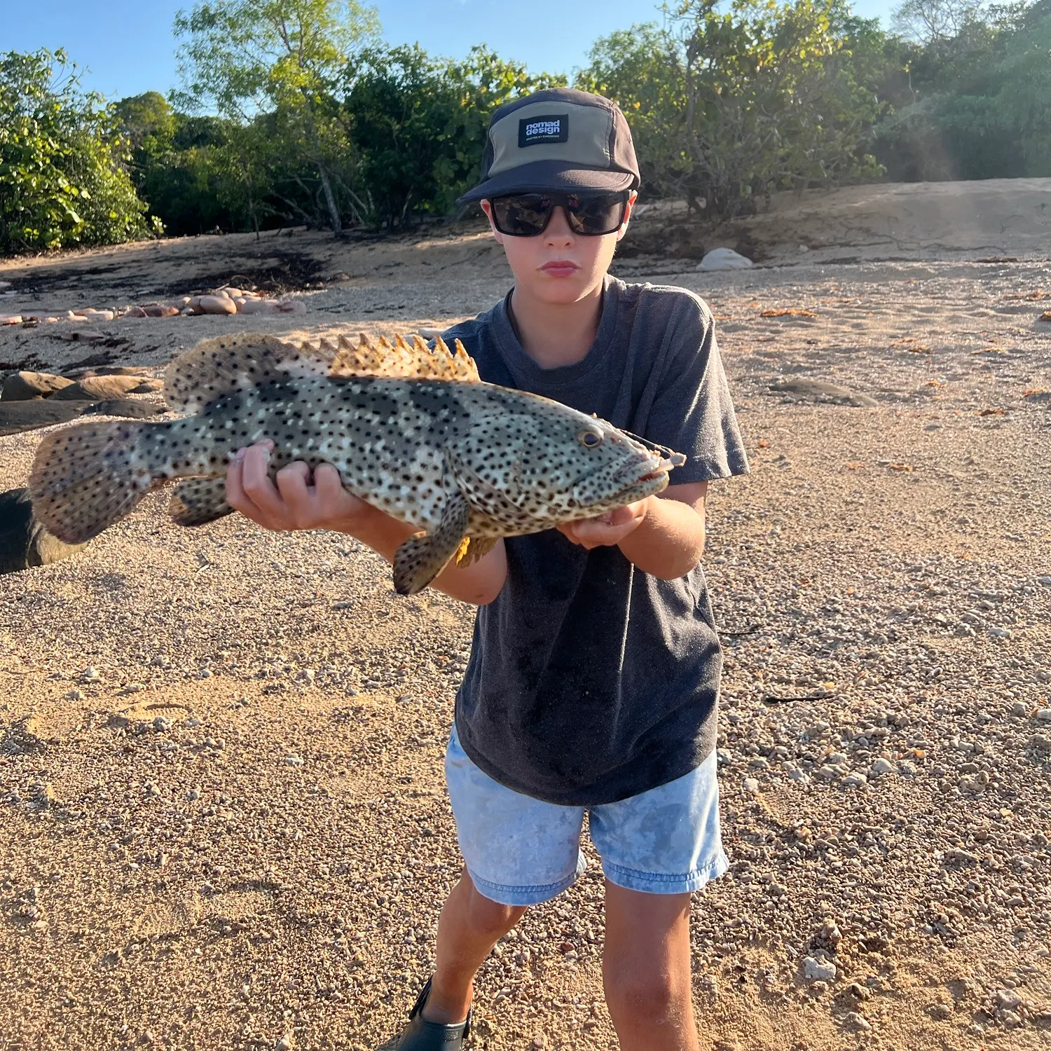The most recent Malabar grouper catches on Fishbrain