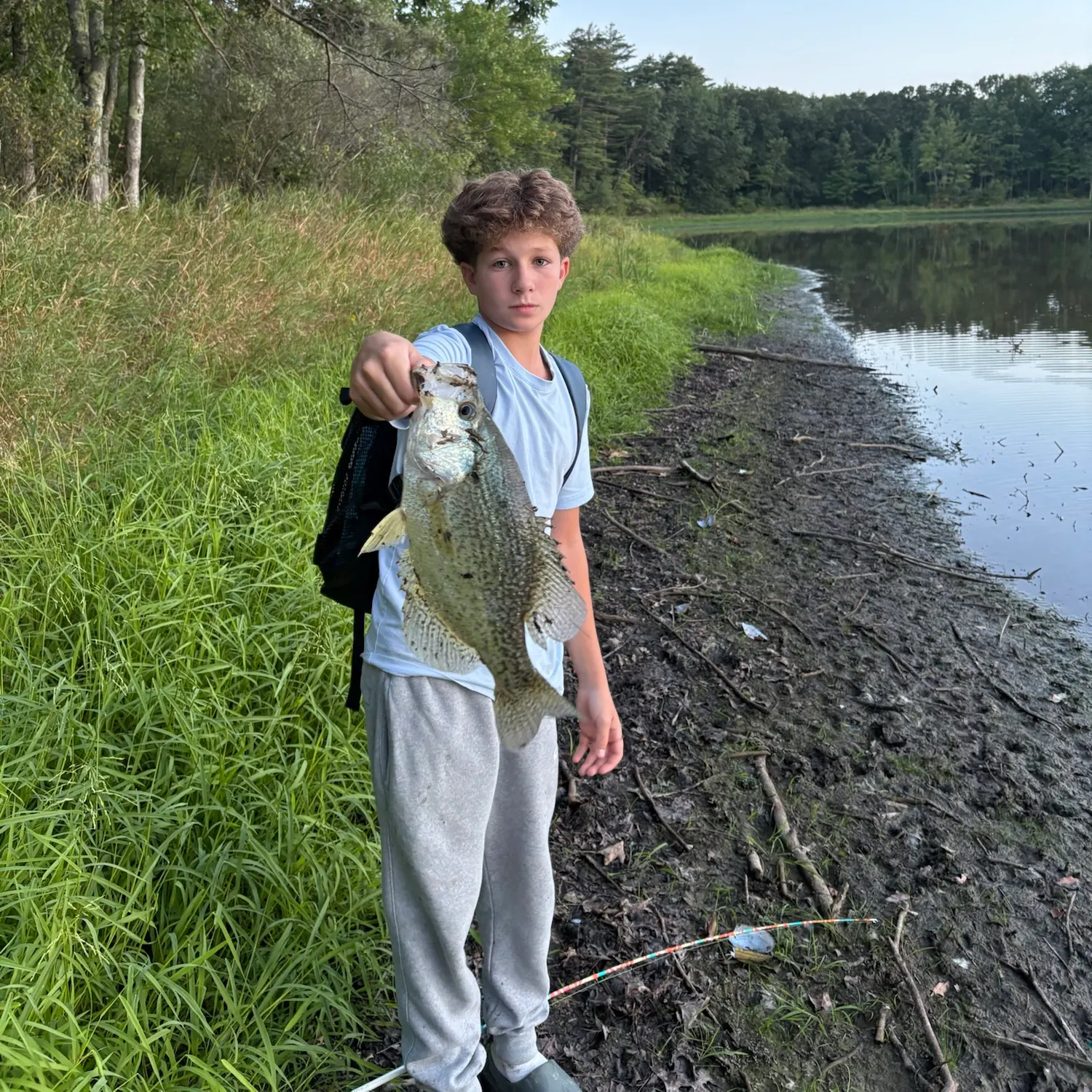 Black crappie caught on Fishbrain