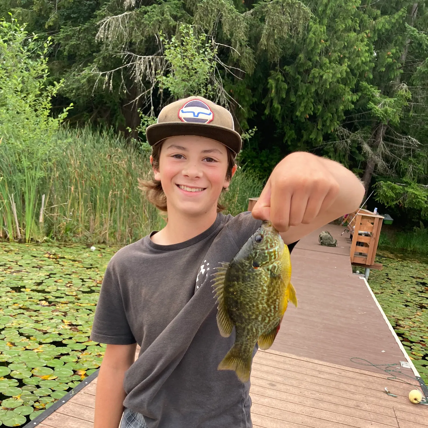 Pumpkinseed caught on Fishbrain