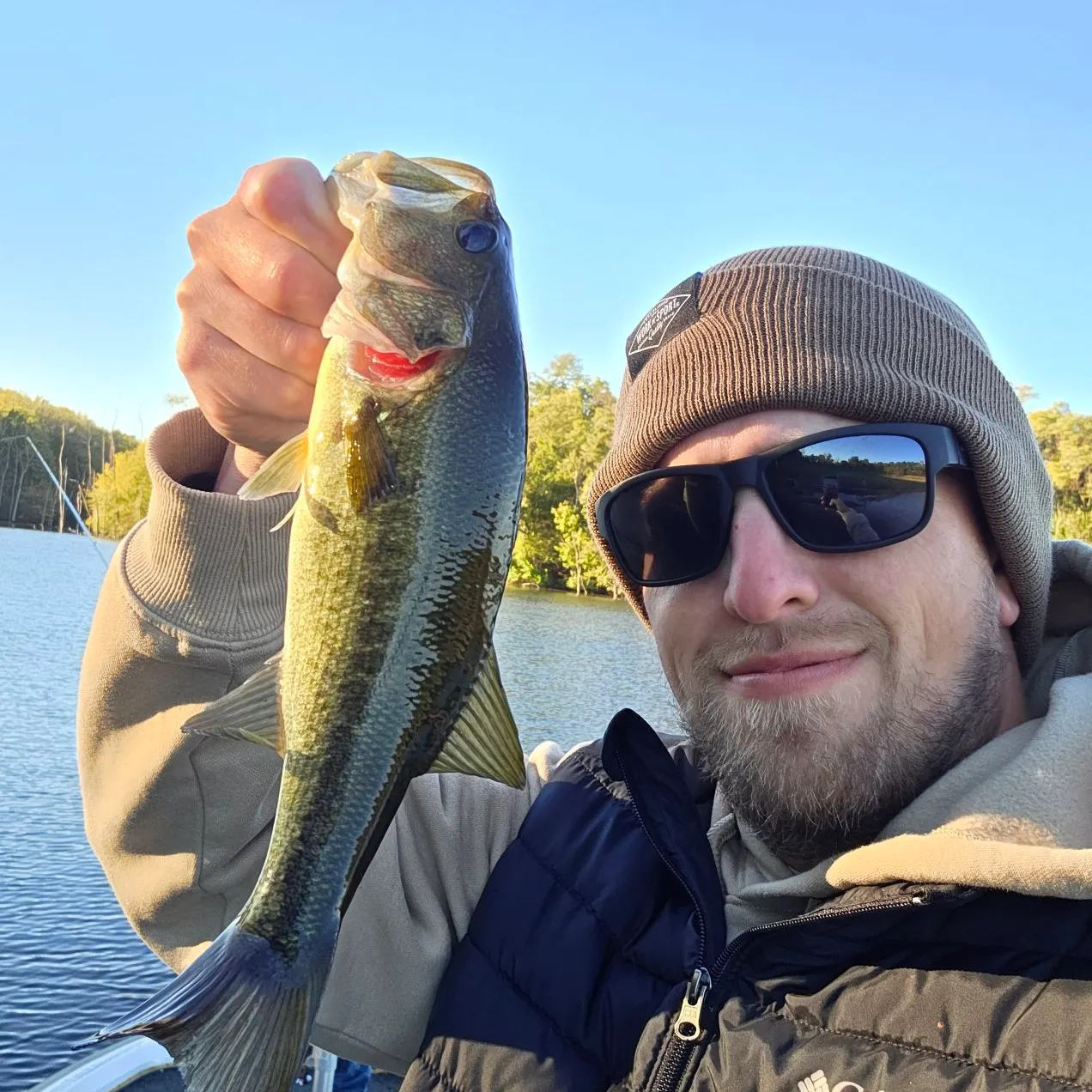 Largemouth bass caught on Fishbrain