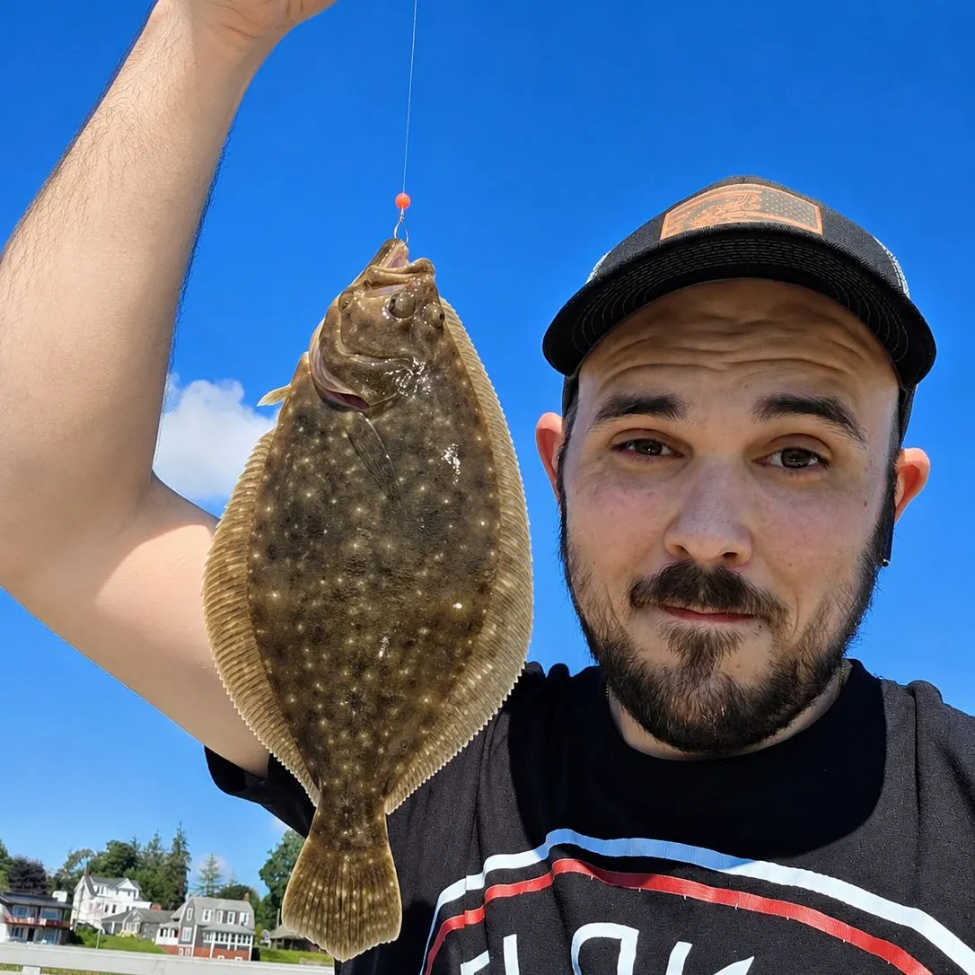Summer flounder caught on Fishbrain