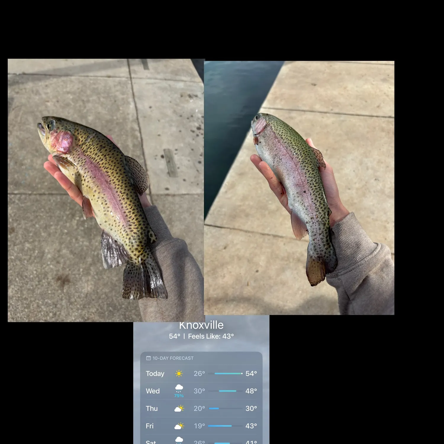 recently logged catches