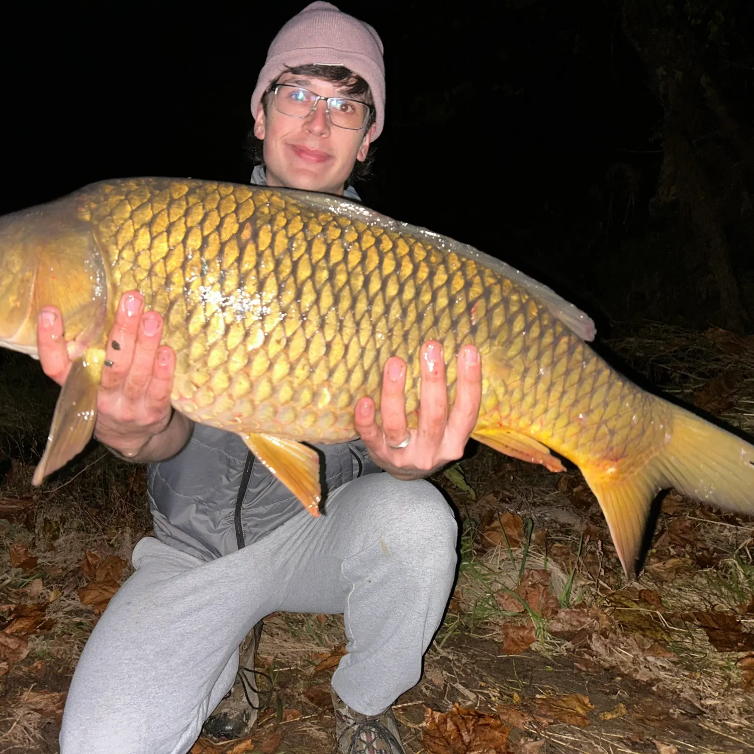 Common carp caught on Fishbrain
