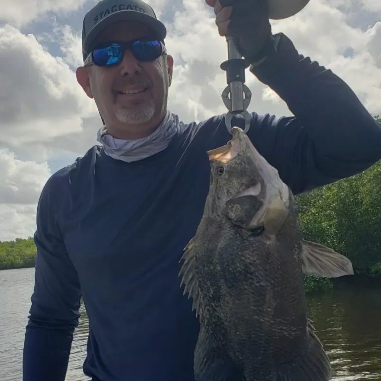 The most recent Atlantic tripletail catches on Fishbrain