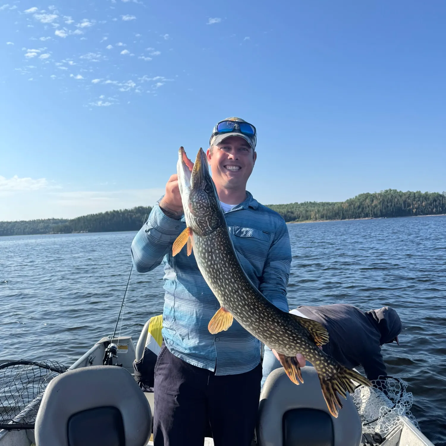 Northern pike caught on Fishbrain