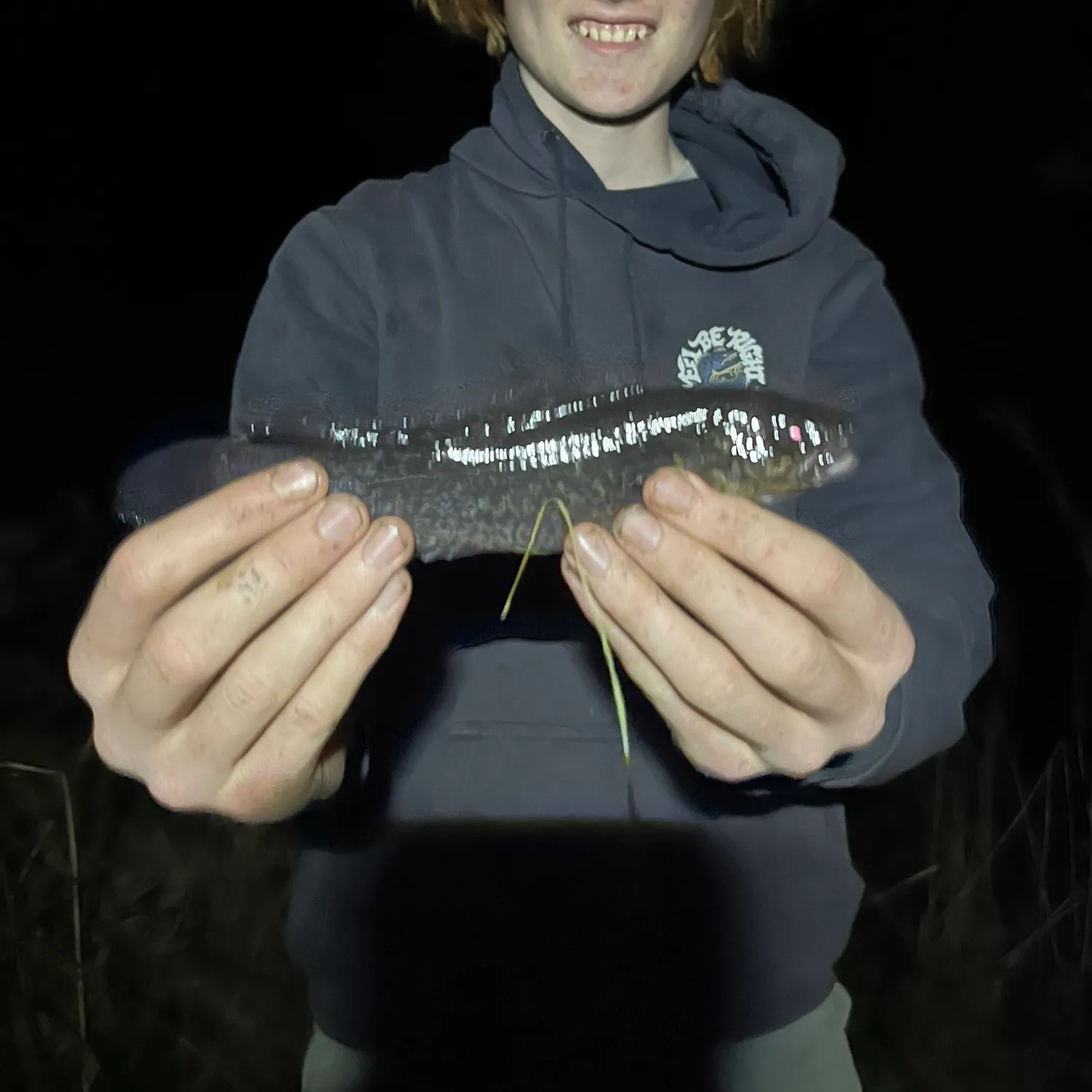 The most recent River blackfish catches on Fishbrain