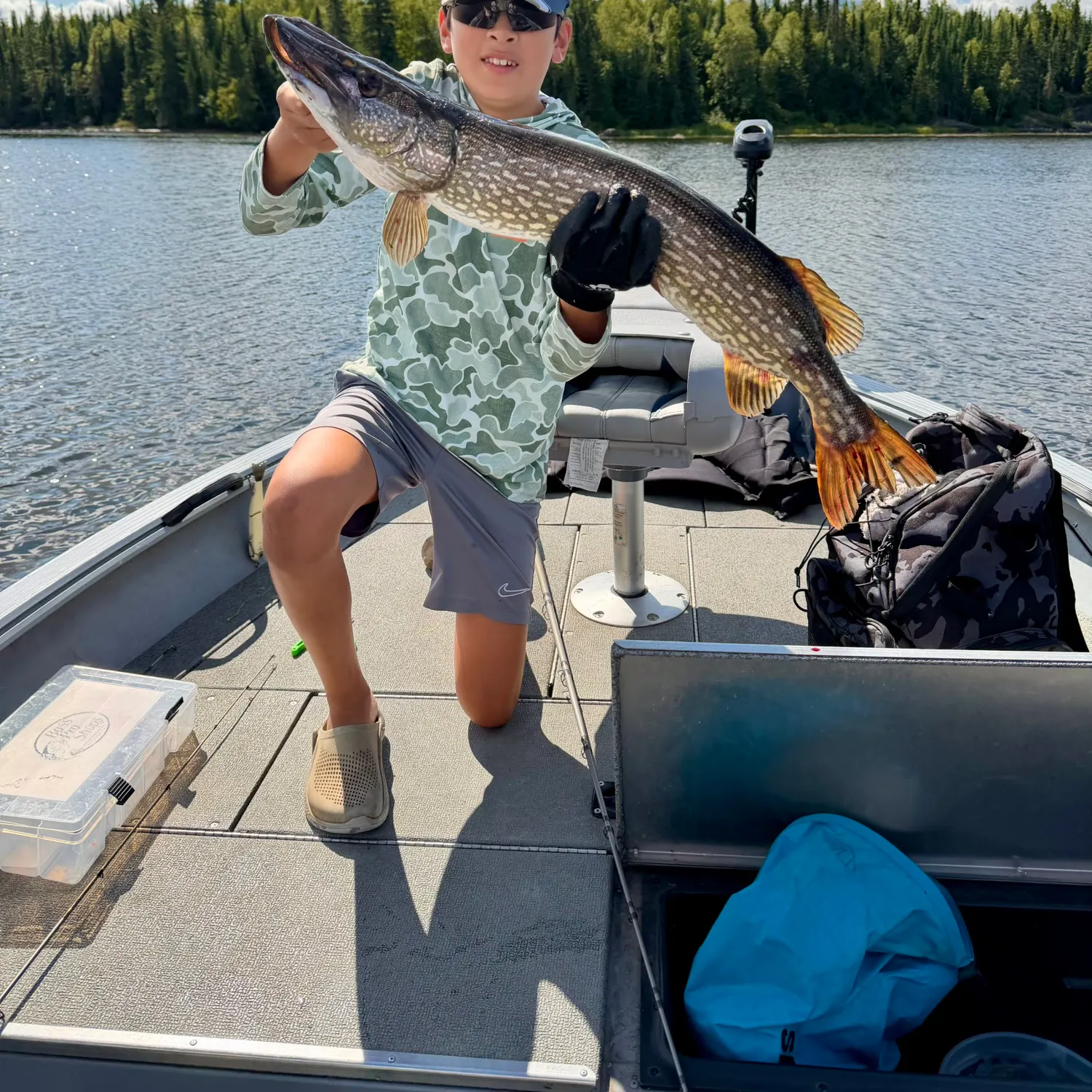 Northern pike caught on Fishbrain