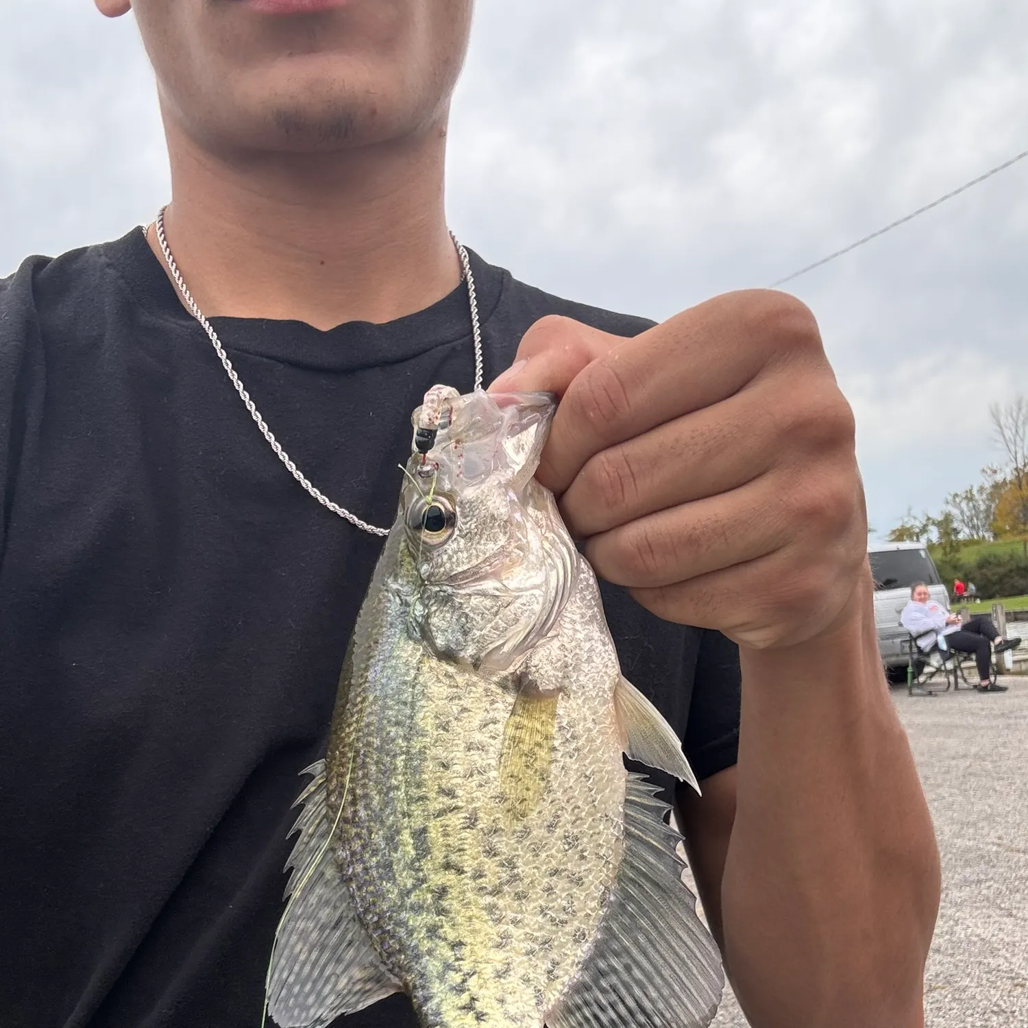 Black crappie caught on Fishbrain