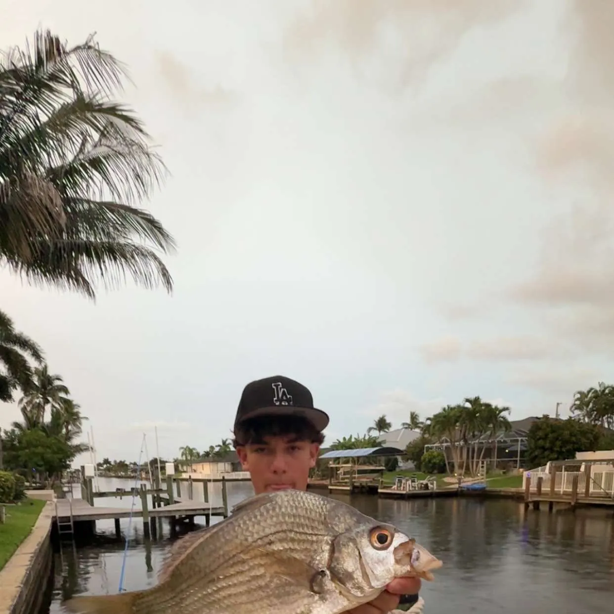 The most recent Striped mojarra catches on Fishbrain