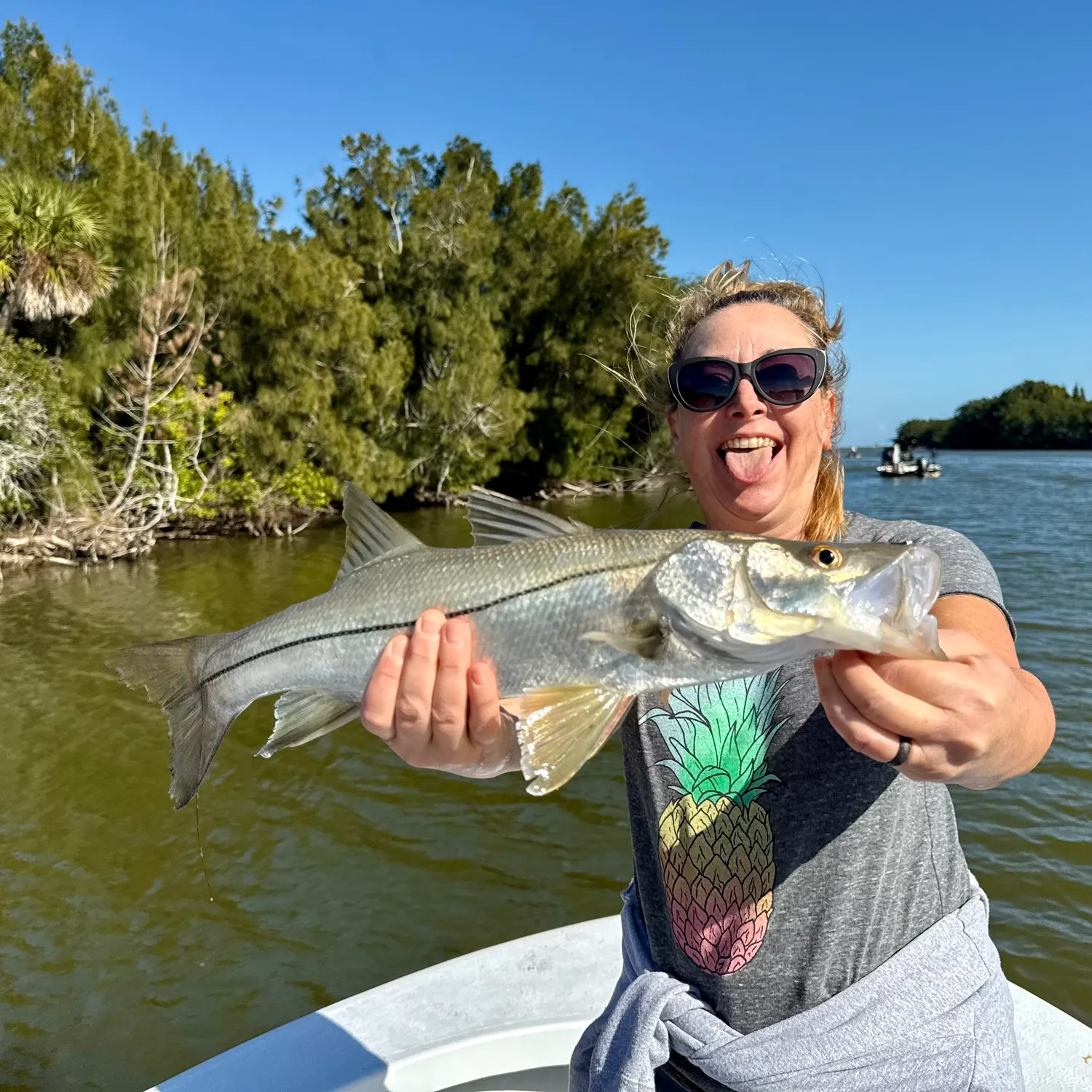 The most recent Common snook catches on Fishbrain