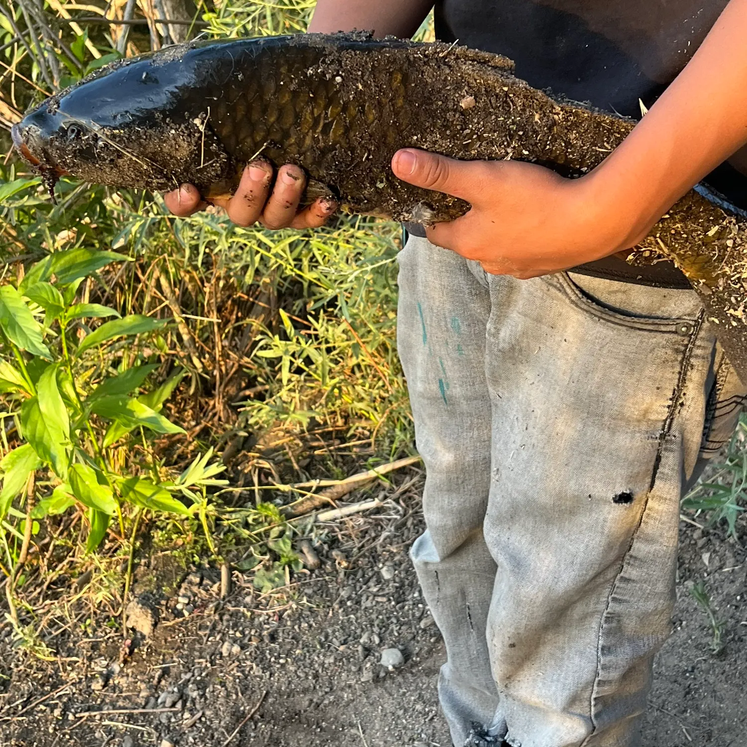 catch