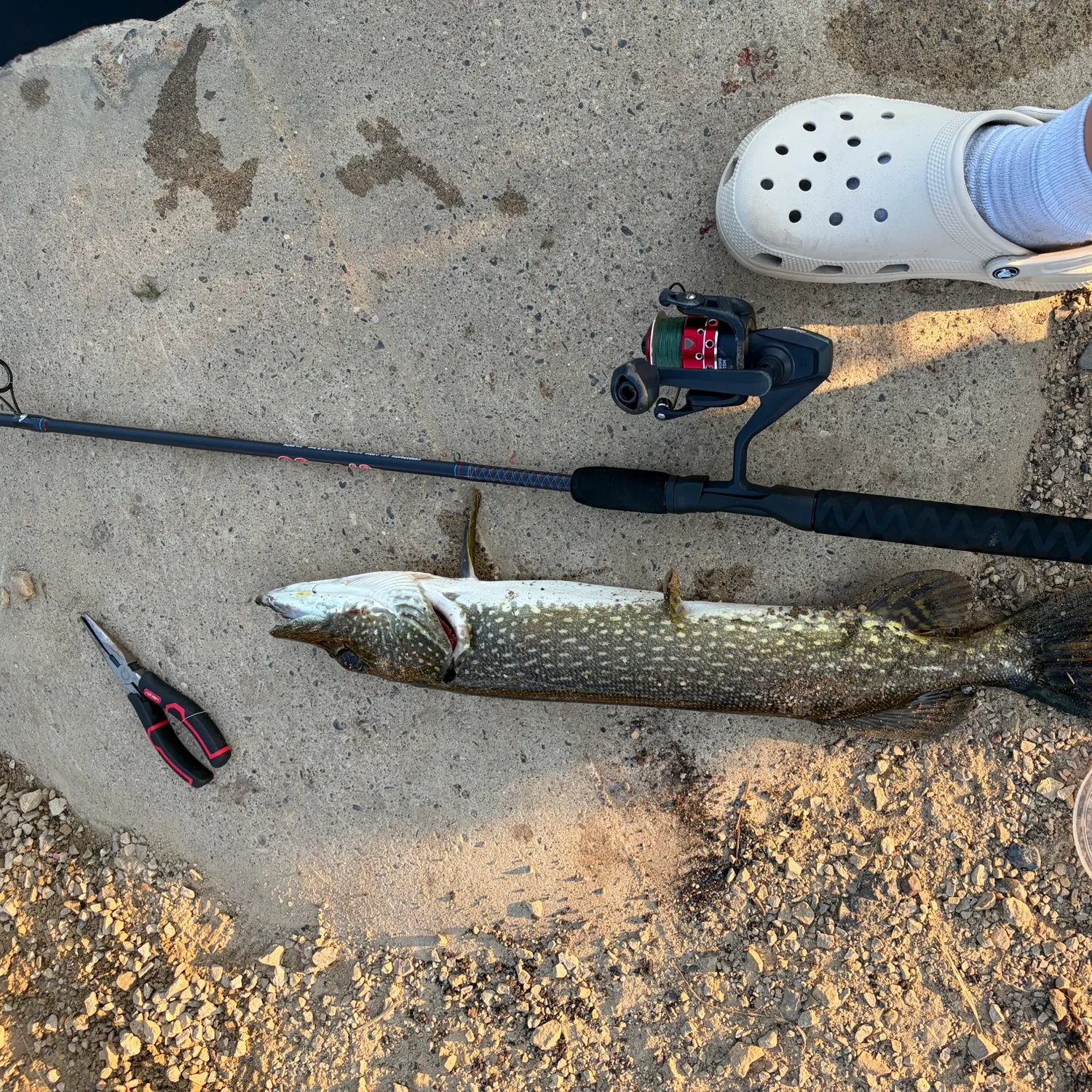 catch
