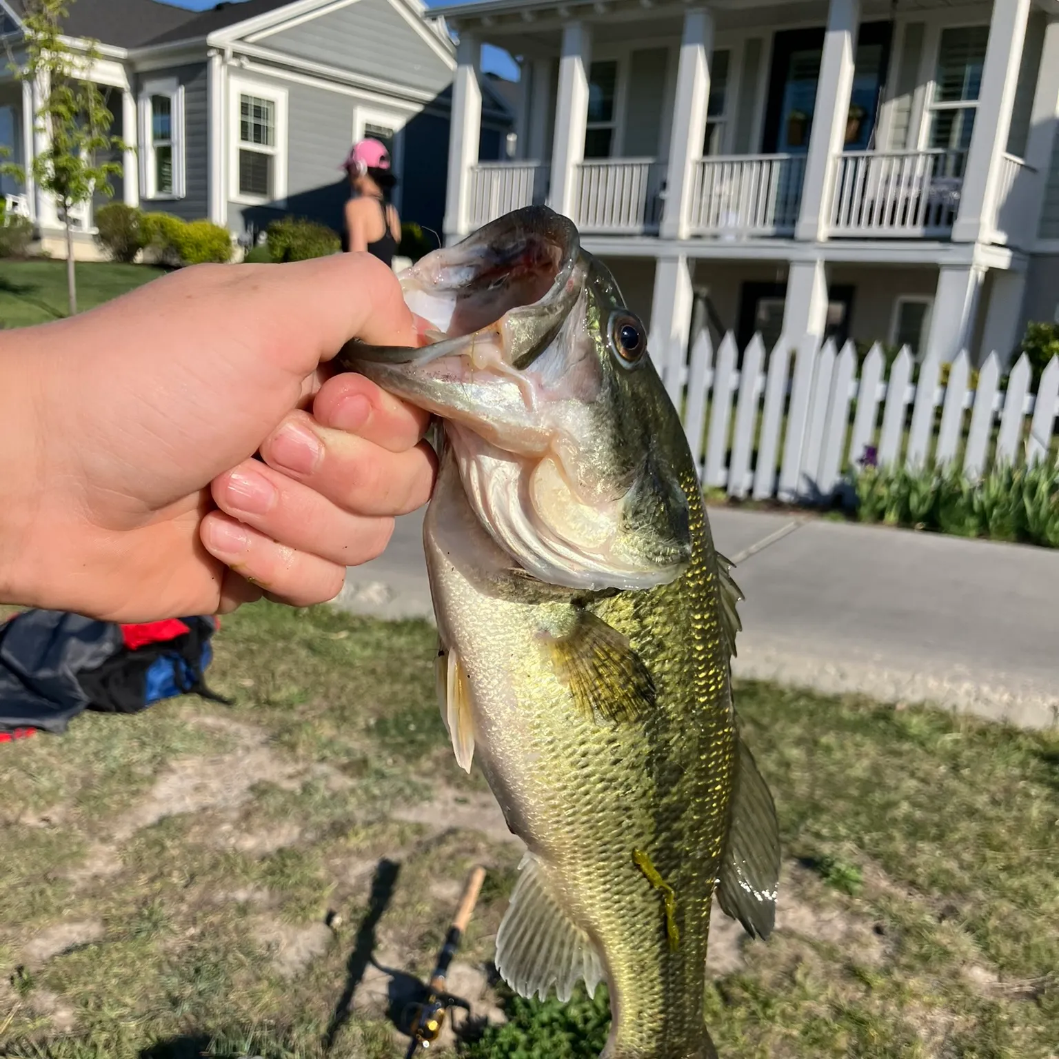 catch