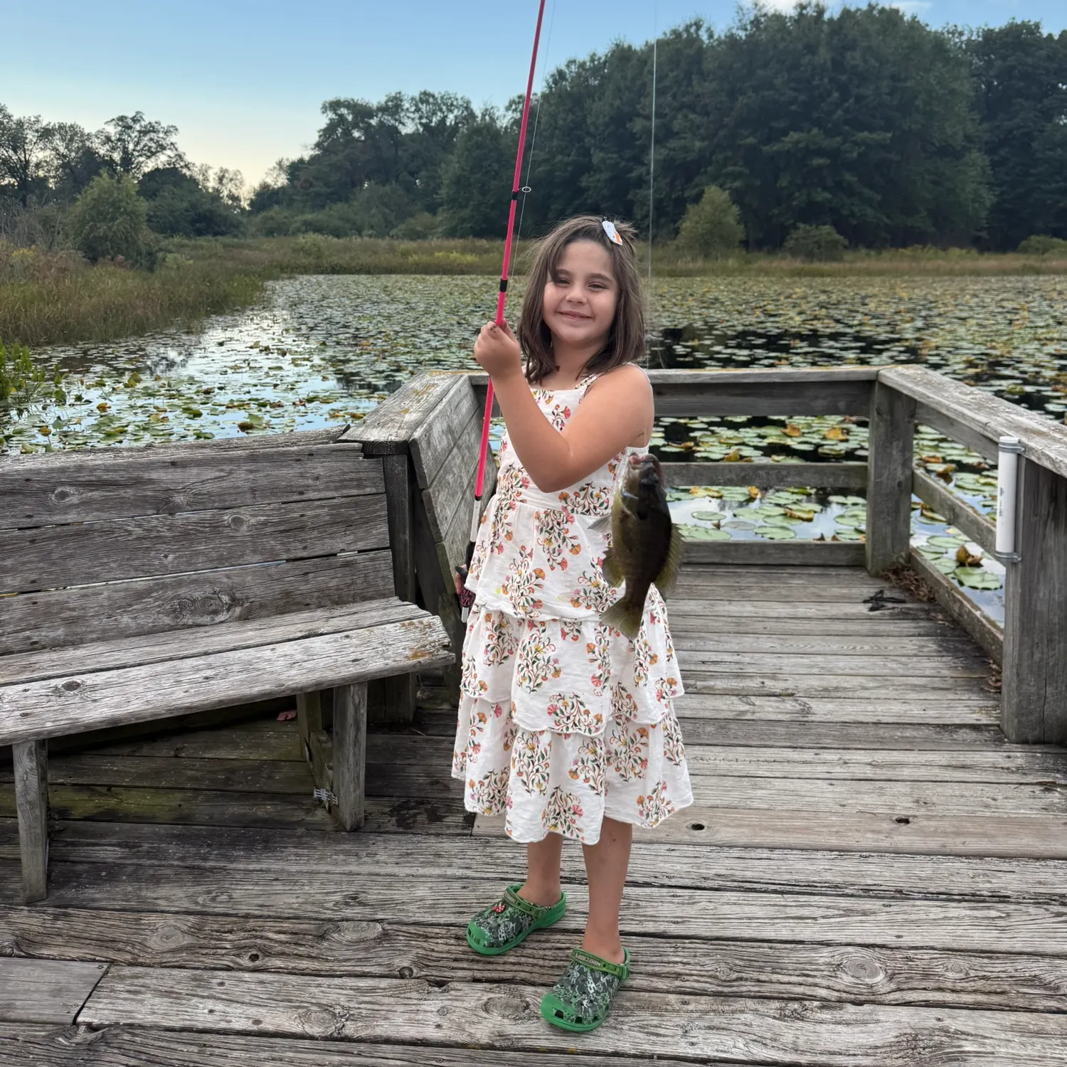 Warmouth caught on Fishbrain