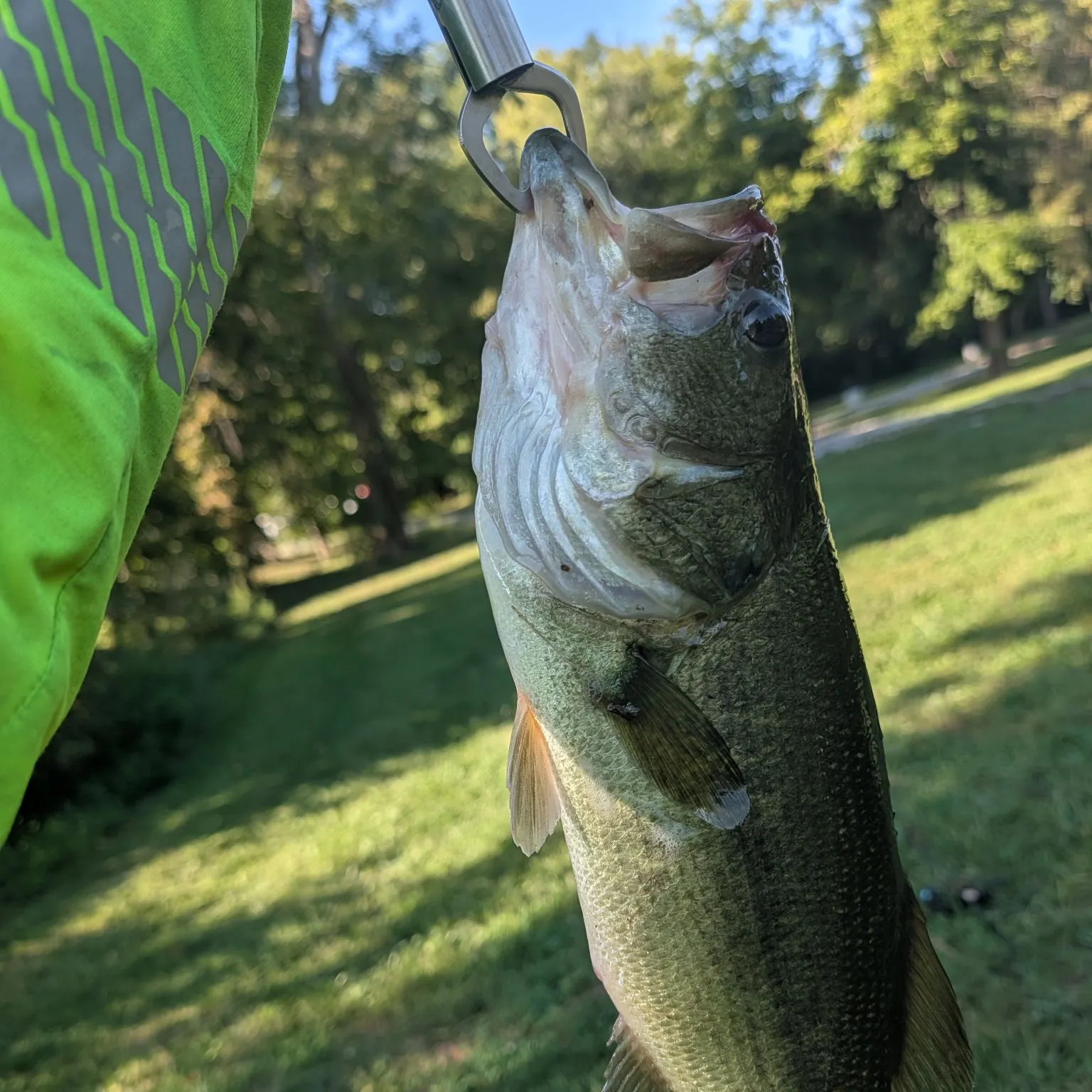 Fish caught on Fishbrain