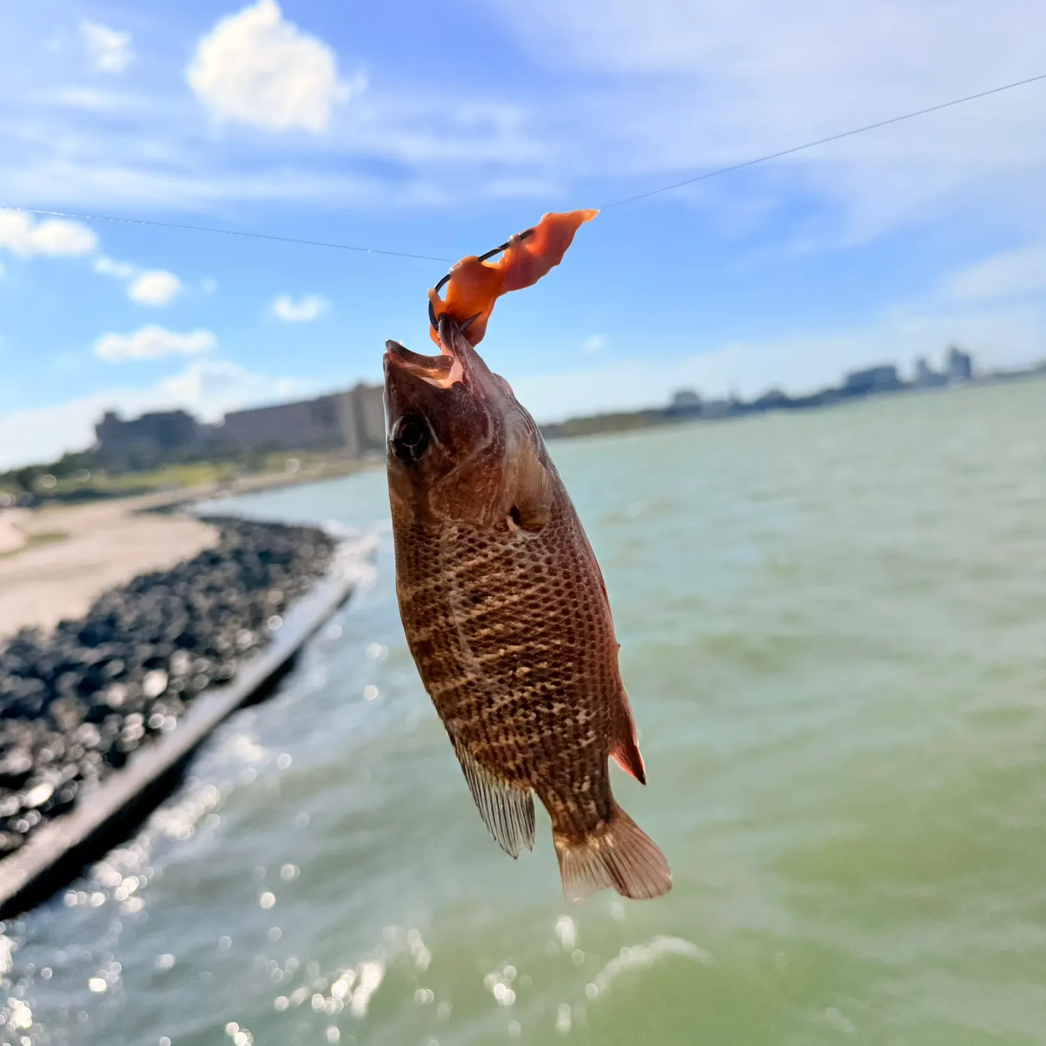 catch