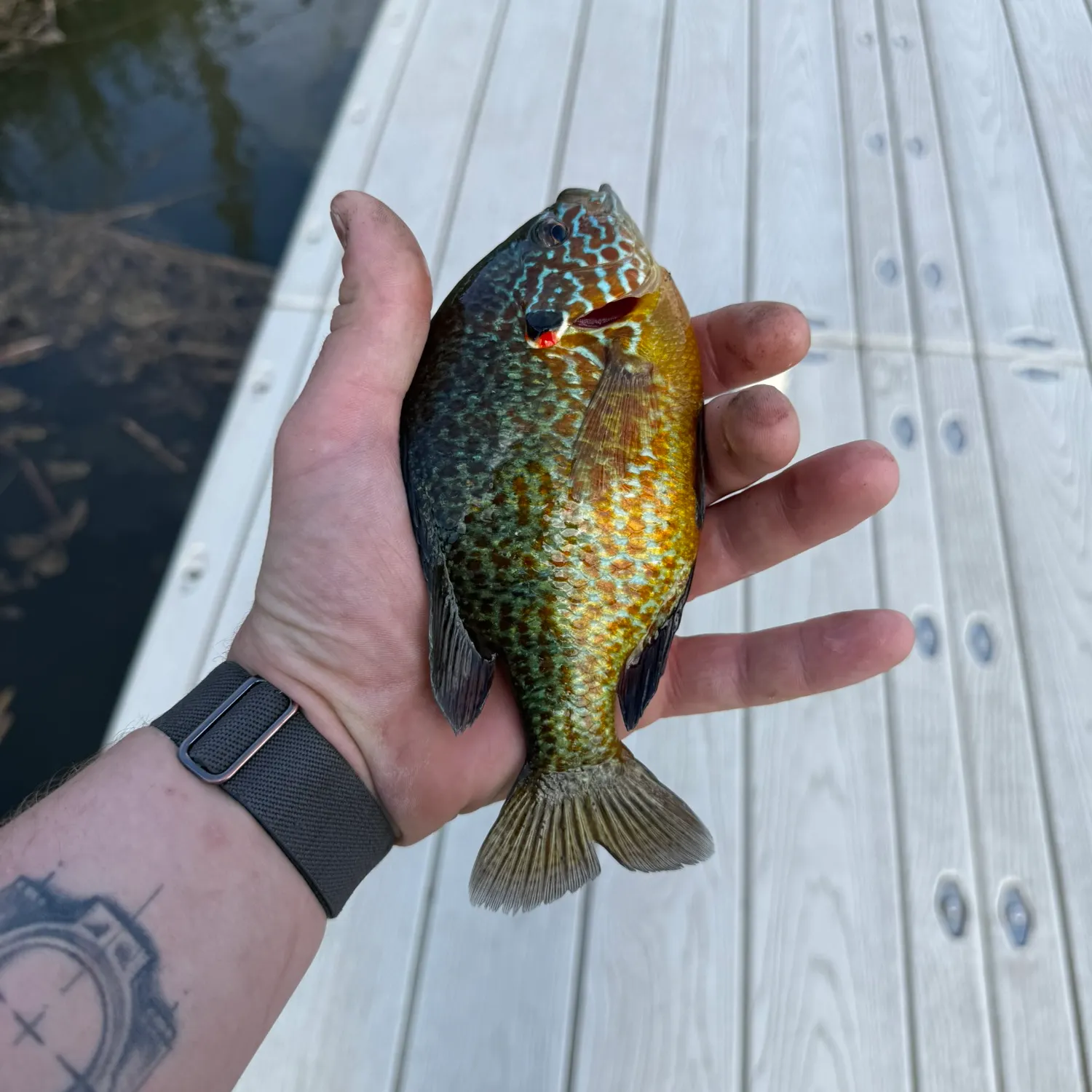 catch