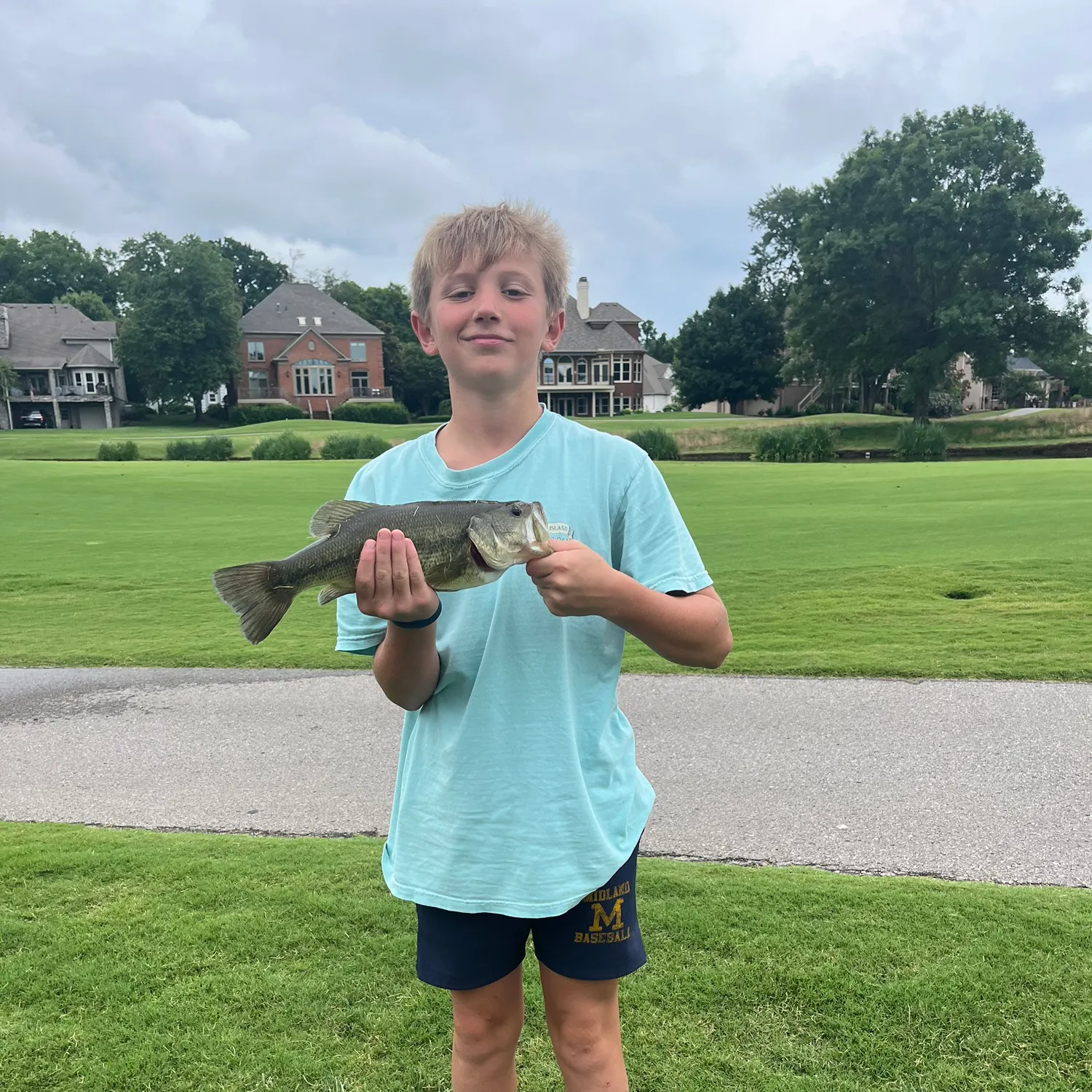 The most recent Largemouth bass catches on Fishbrain