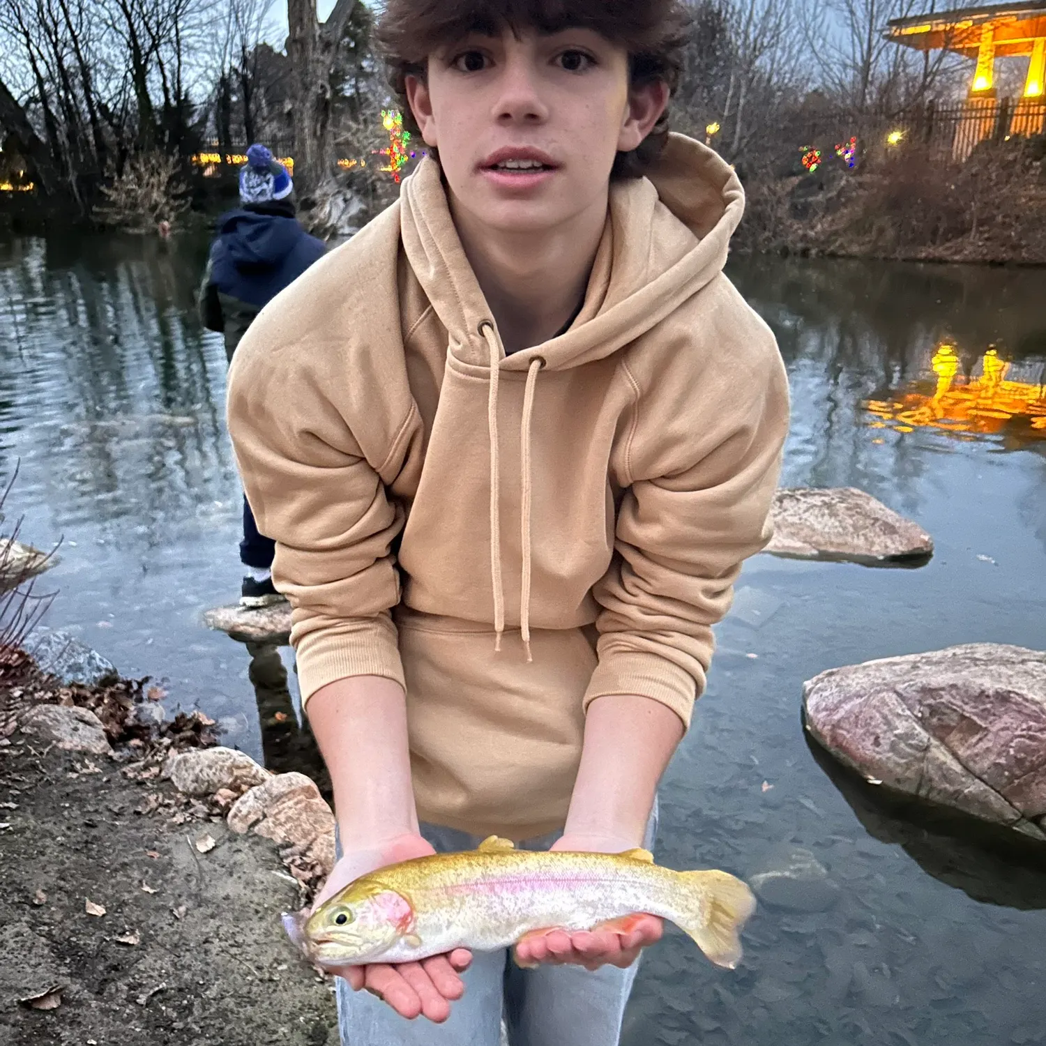 The most recent Golden rainbow trout catches on Fishbrain