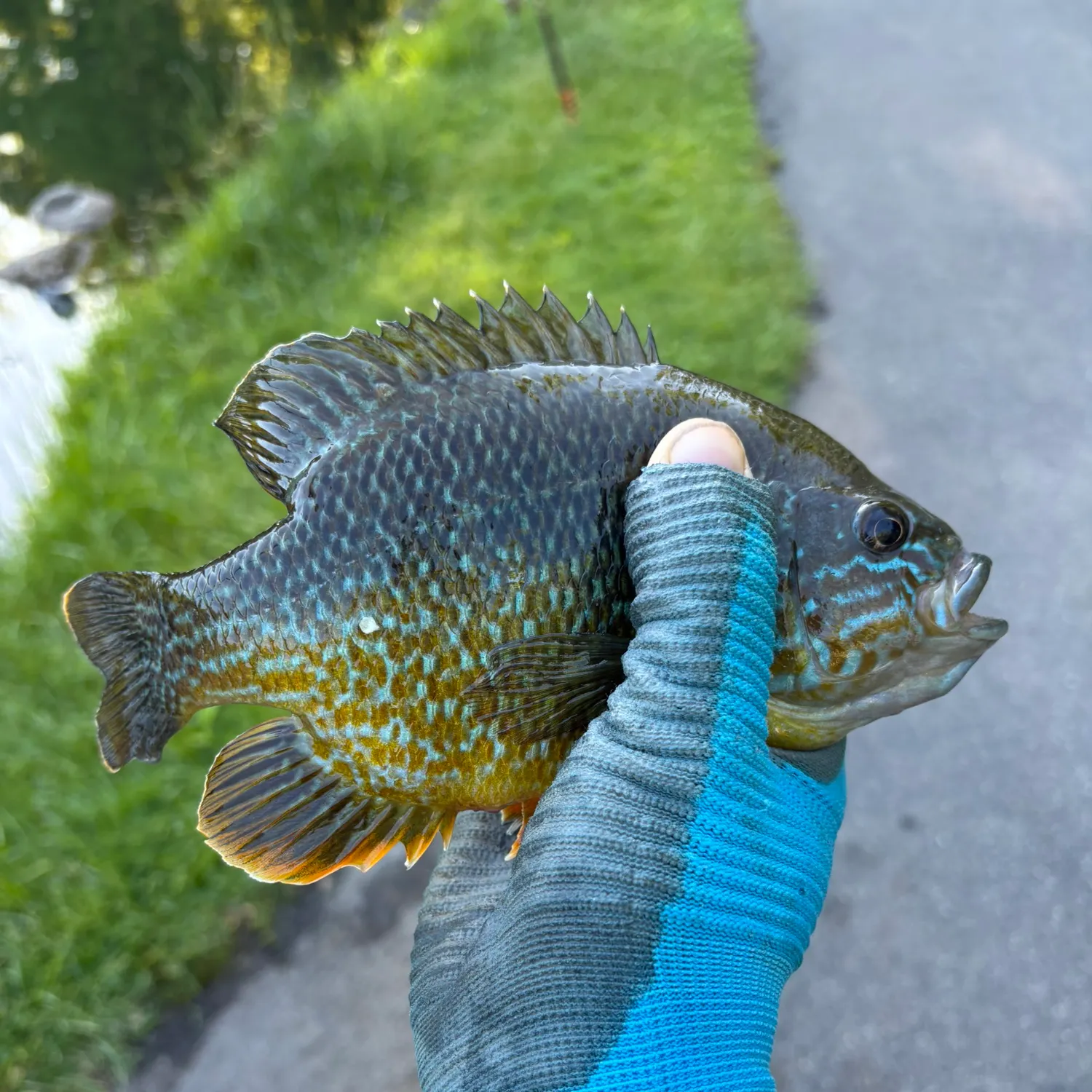 catch