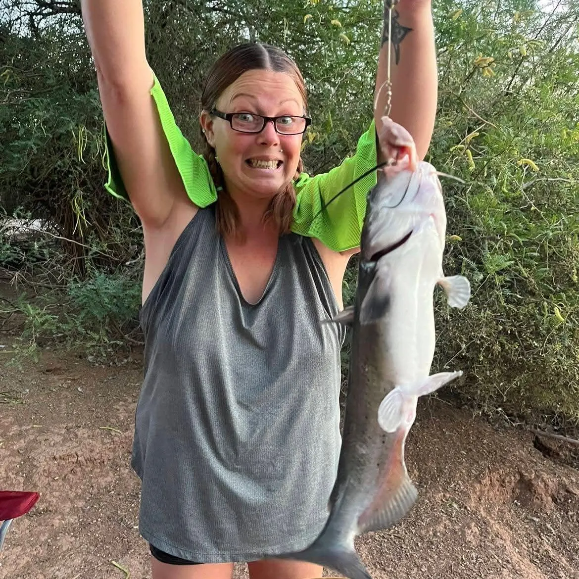 The most recent White bullhead catches on Fishbrain