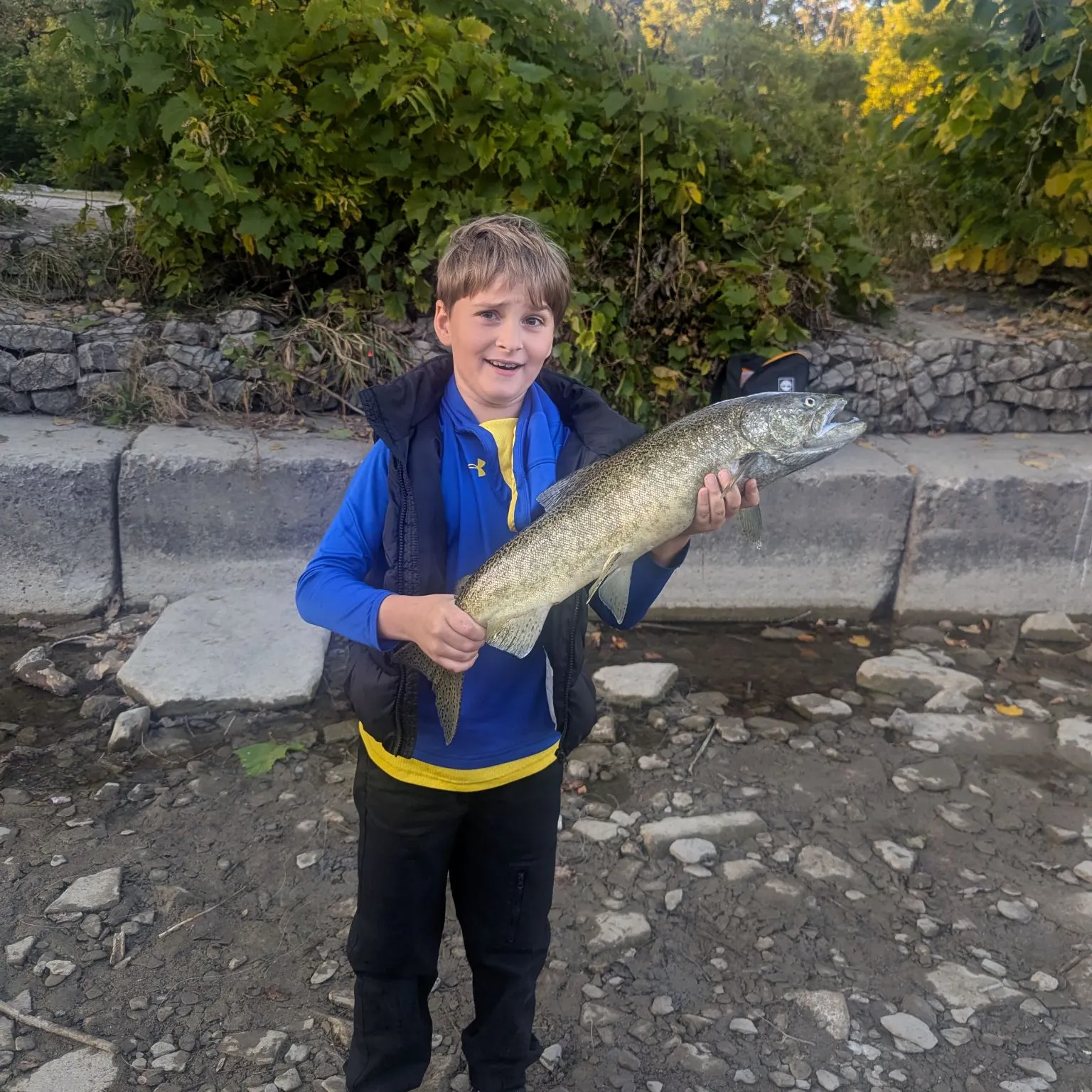 Chinook salmon caught on Fishbrain