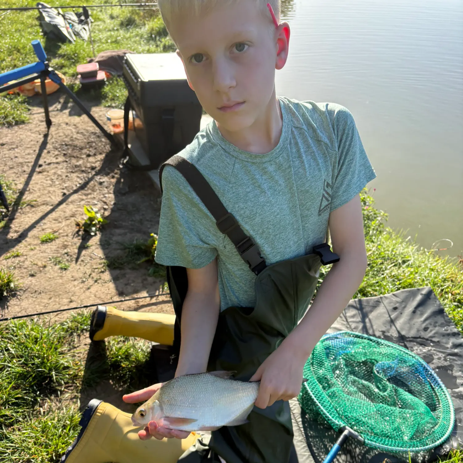 The most recent White bream catches on Fishbrain