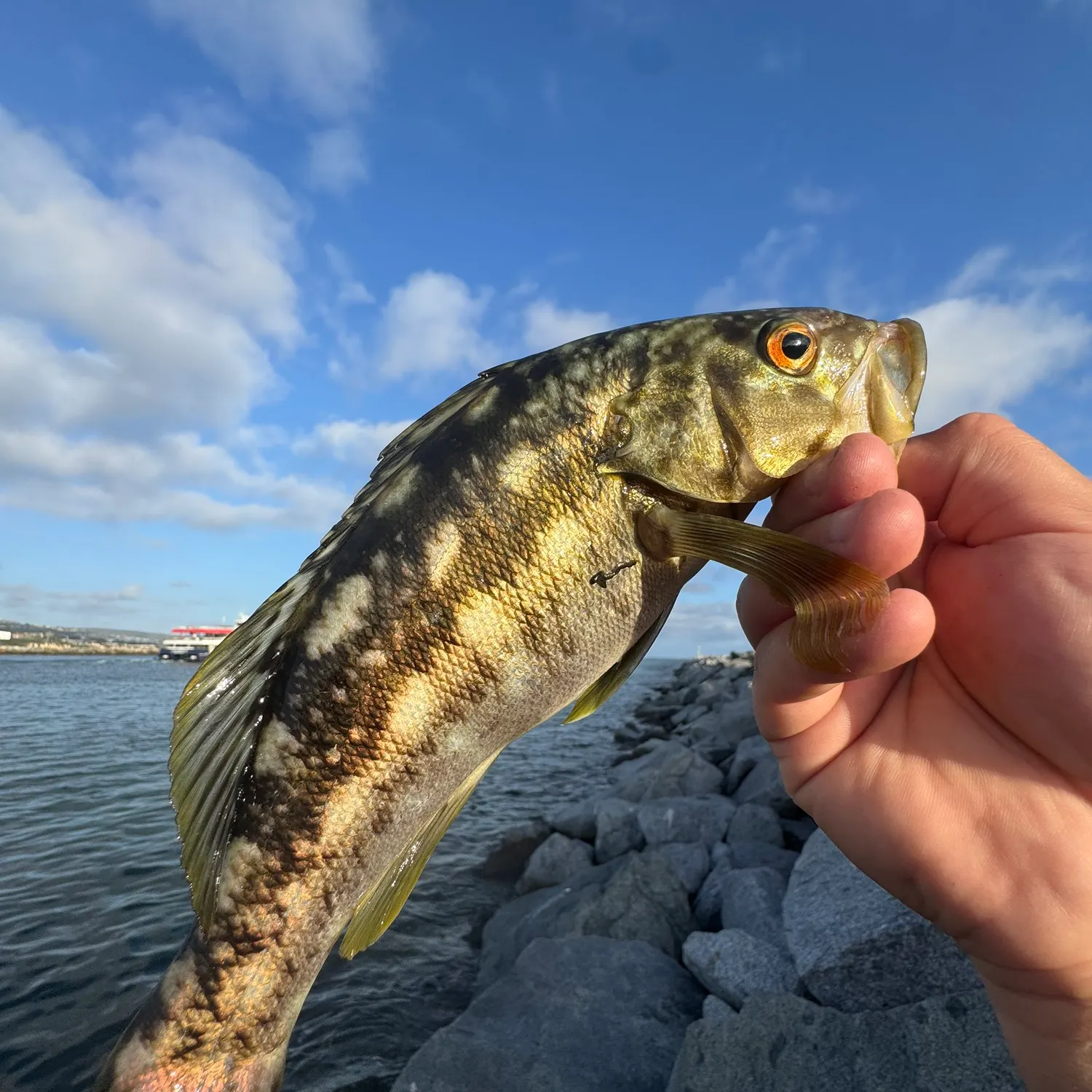 catch