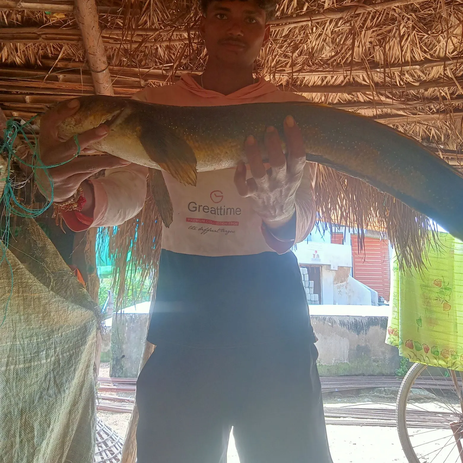 The most recent Bullseye snakehead catches on Fishbrain