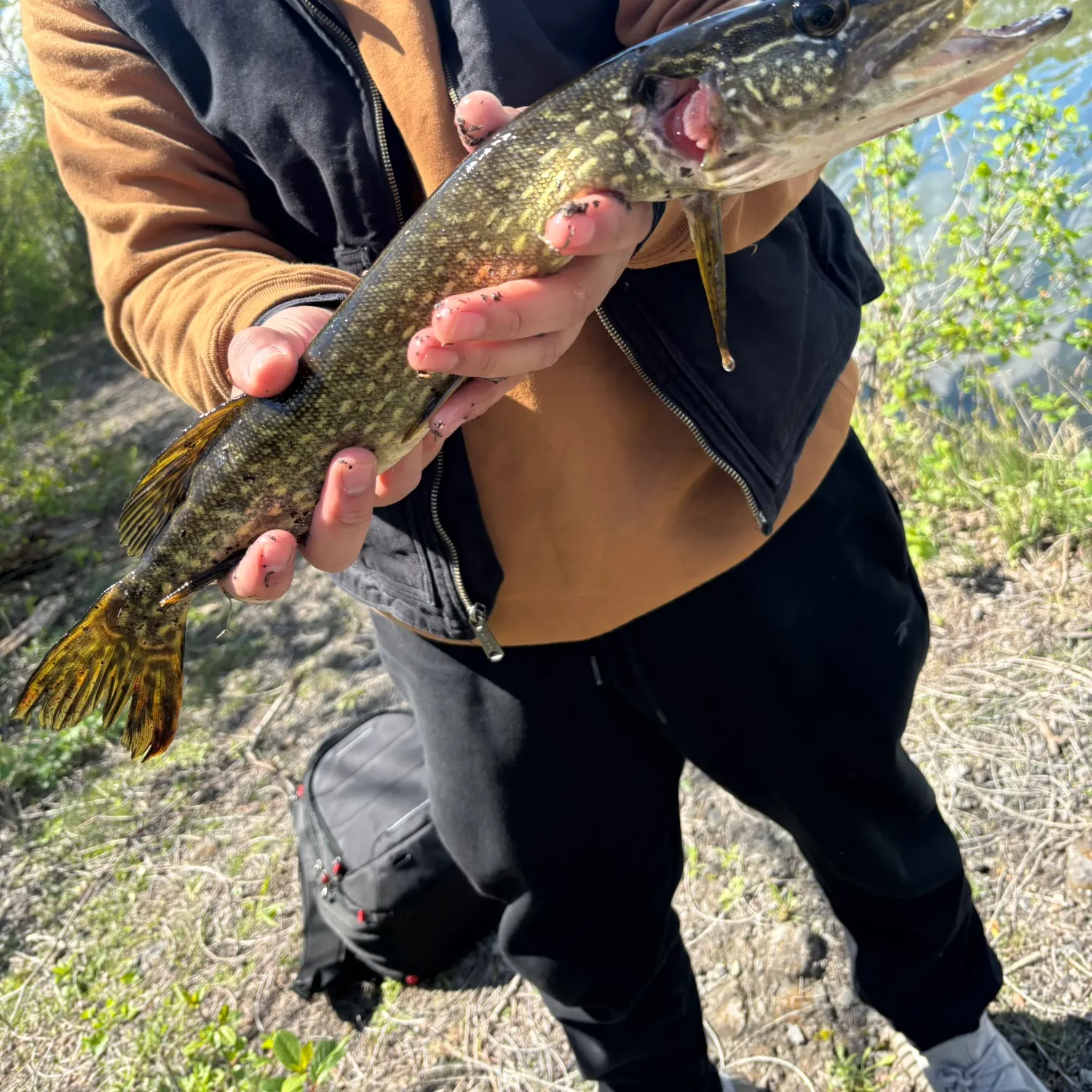 catch