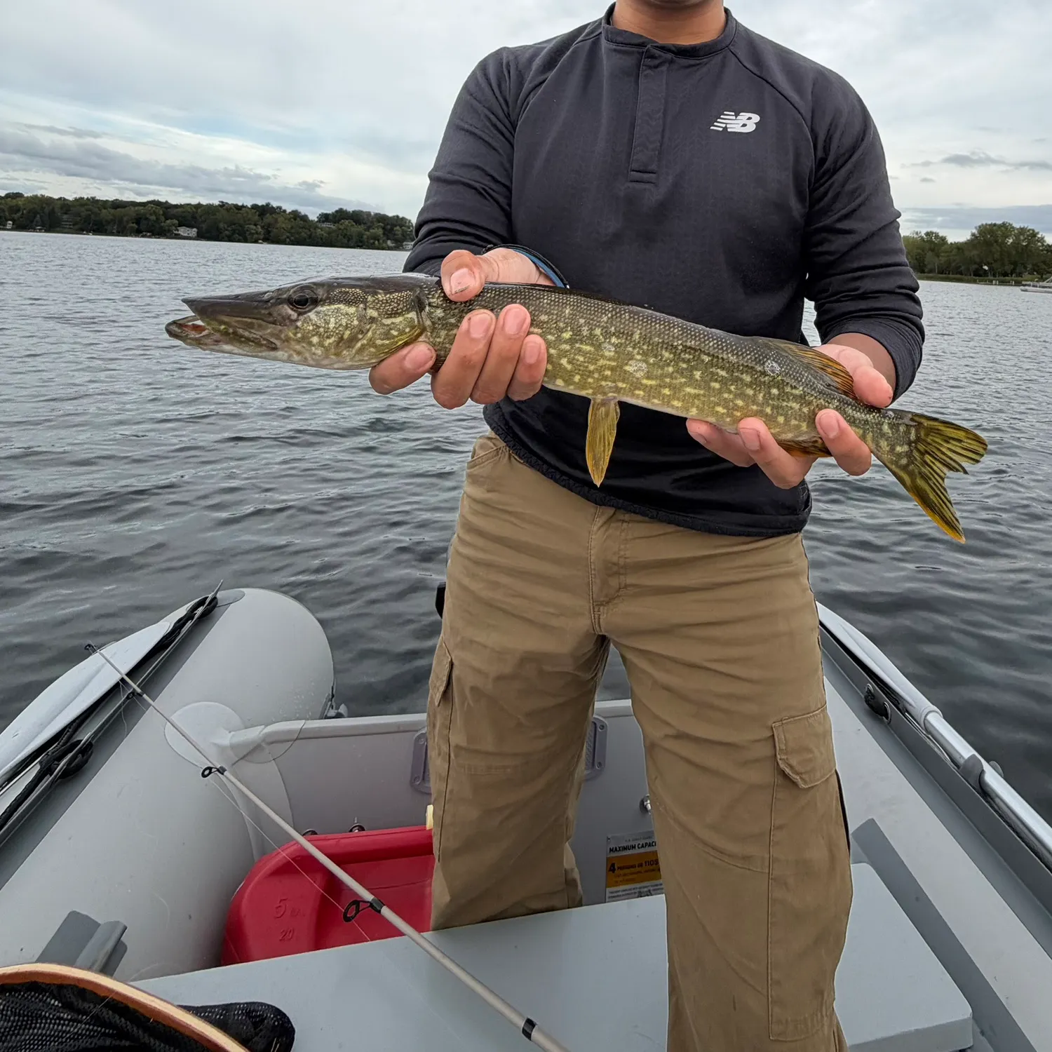 Northern pike caught on Fishbrain