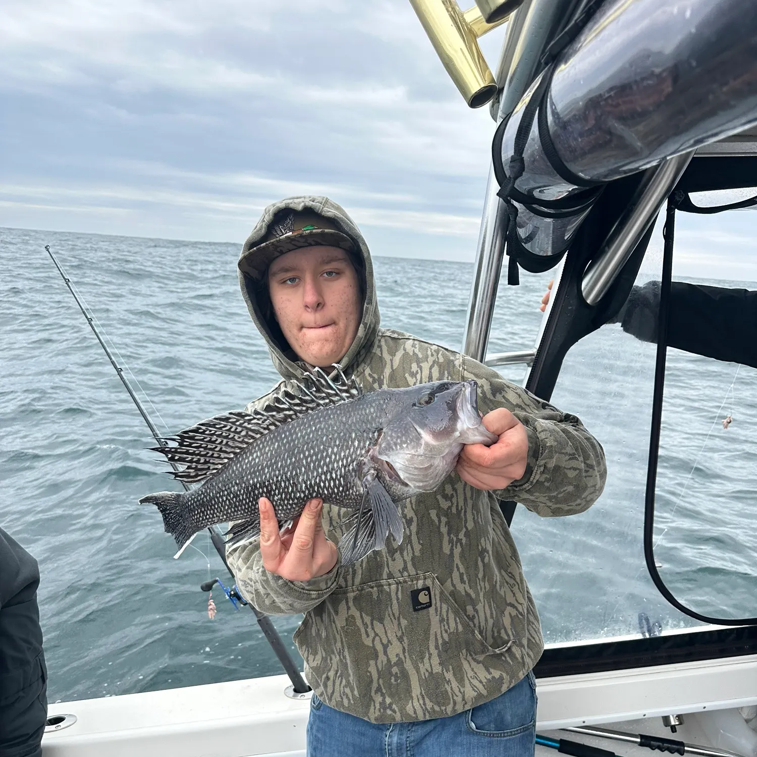 The most recent Black sea bass catches on Fishbrain