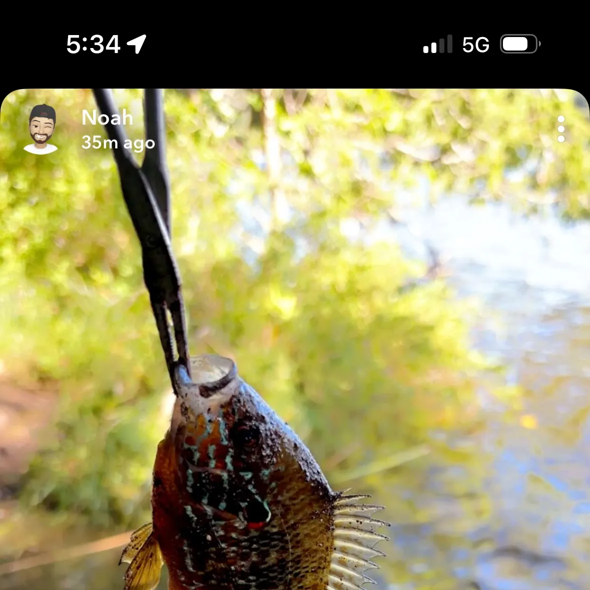 recently logged catches