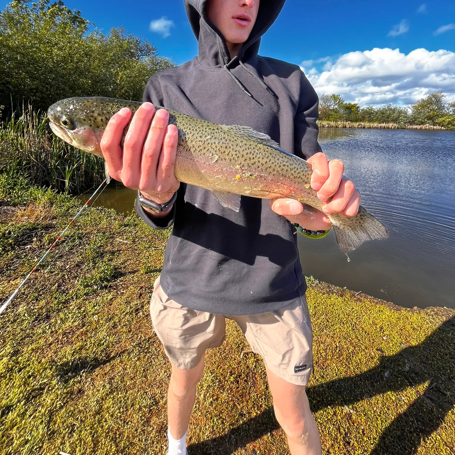 The most recent Rainbow trout catches on Fishbrain